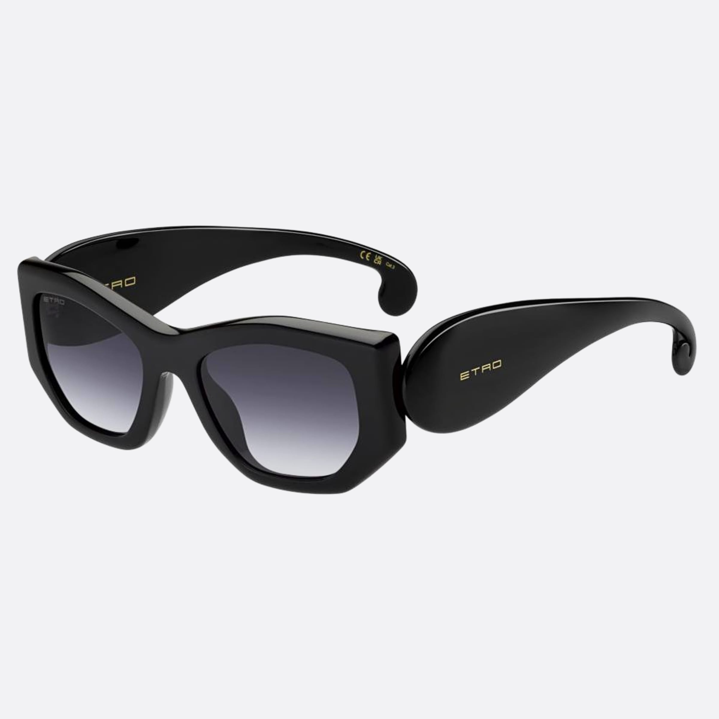 Etro 53mm Etropaisley Black Cat Eye Women Sunglasses - Side View