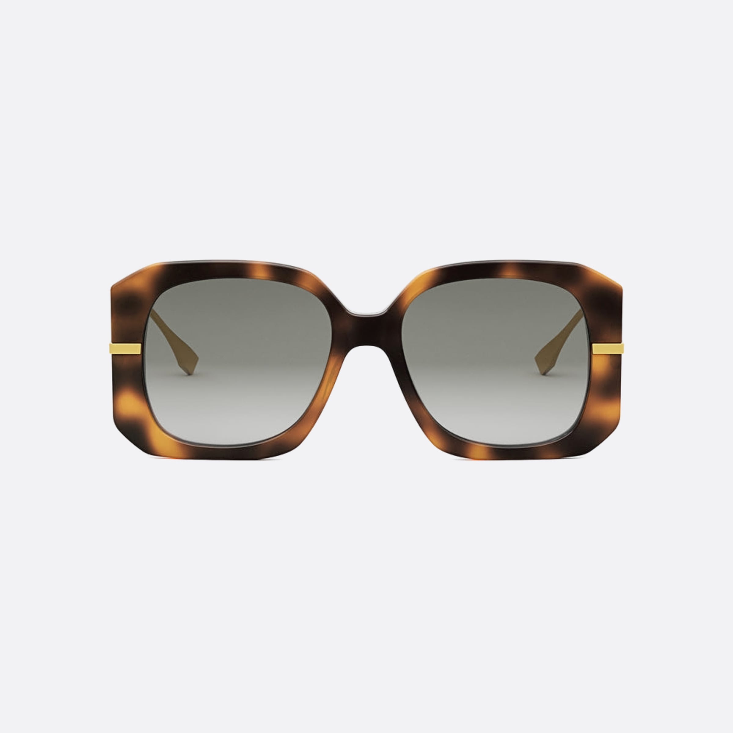 Fendi 55mm Fendigraphy 55b Havana Geometric Women Sunglasses - Main View