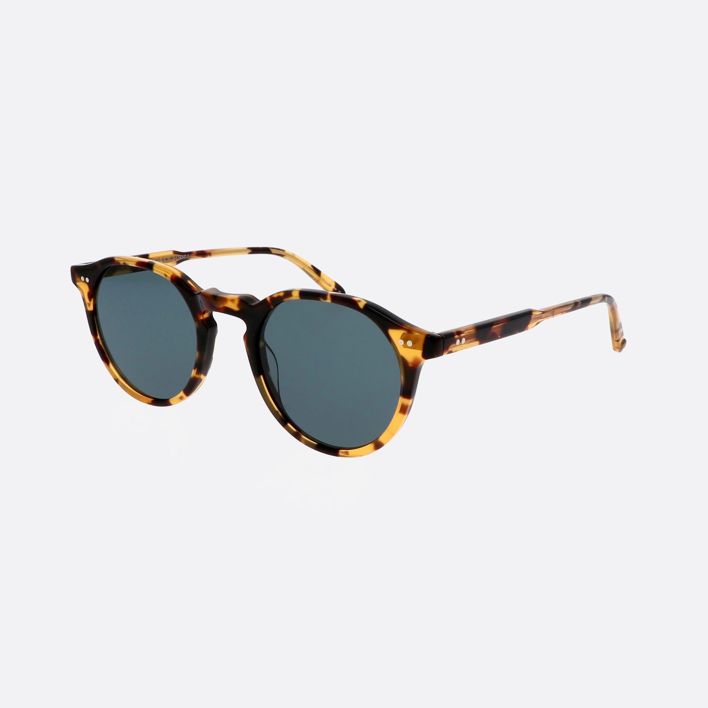 Garrett 47mm Leight Royce Dkt Sfbs Tortoise Round Men Sunglasses - Main View