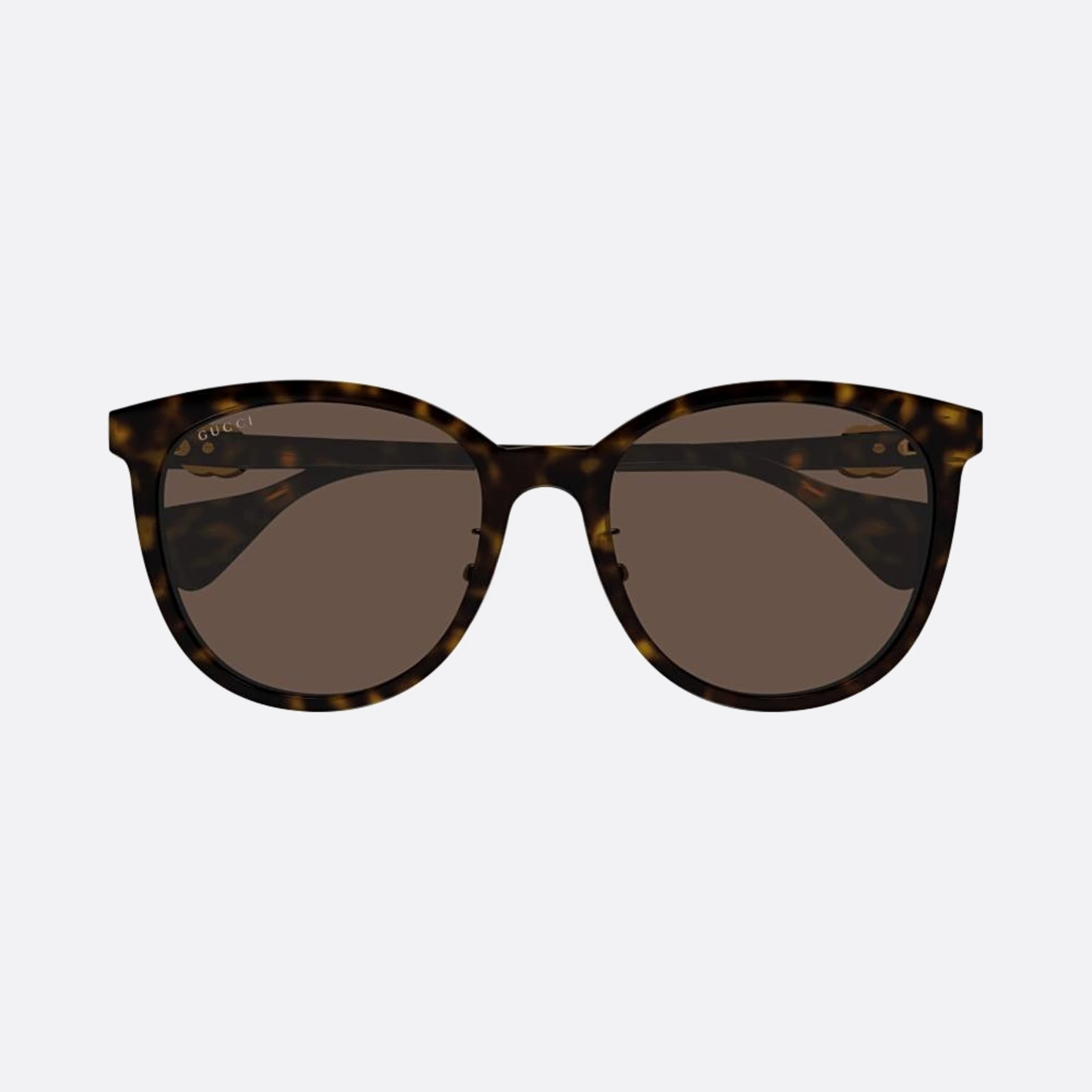 Gucci 56mm Gg1180sk Hjy Havana Cat Eye Woman Sunglasses - Main View