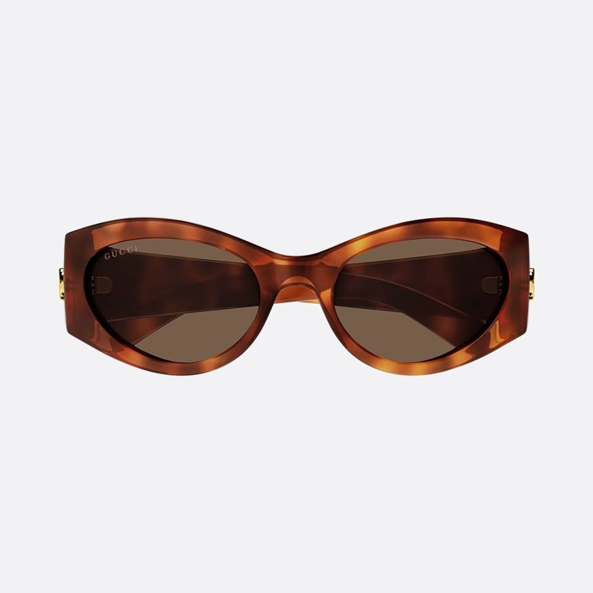 Gucci 53mm Bre Havana Cat Eye Woman Sunglasses - Main View