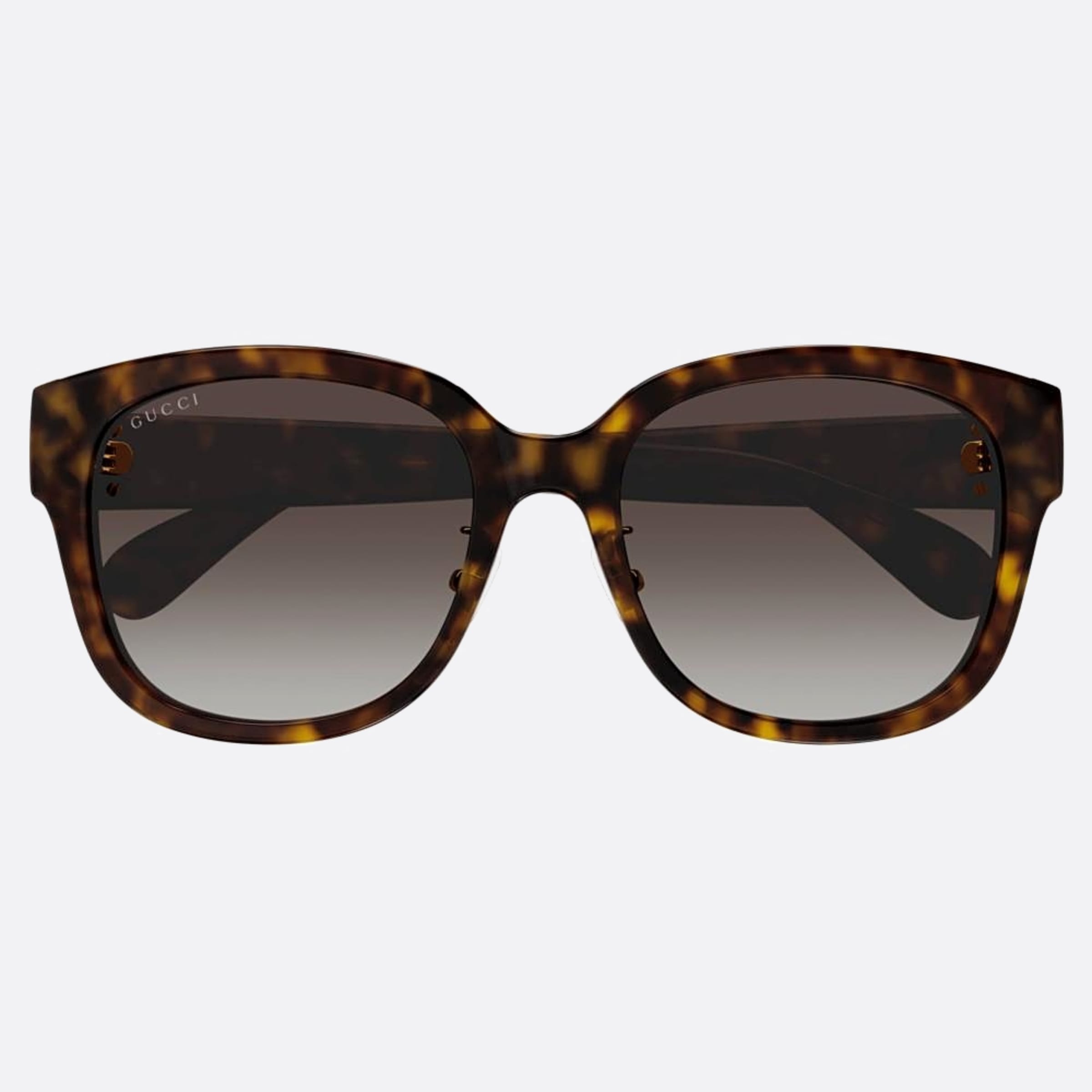Gucci 55mm Gg1409sk Havana Round Woman Sunglasses - Main View