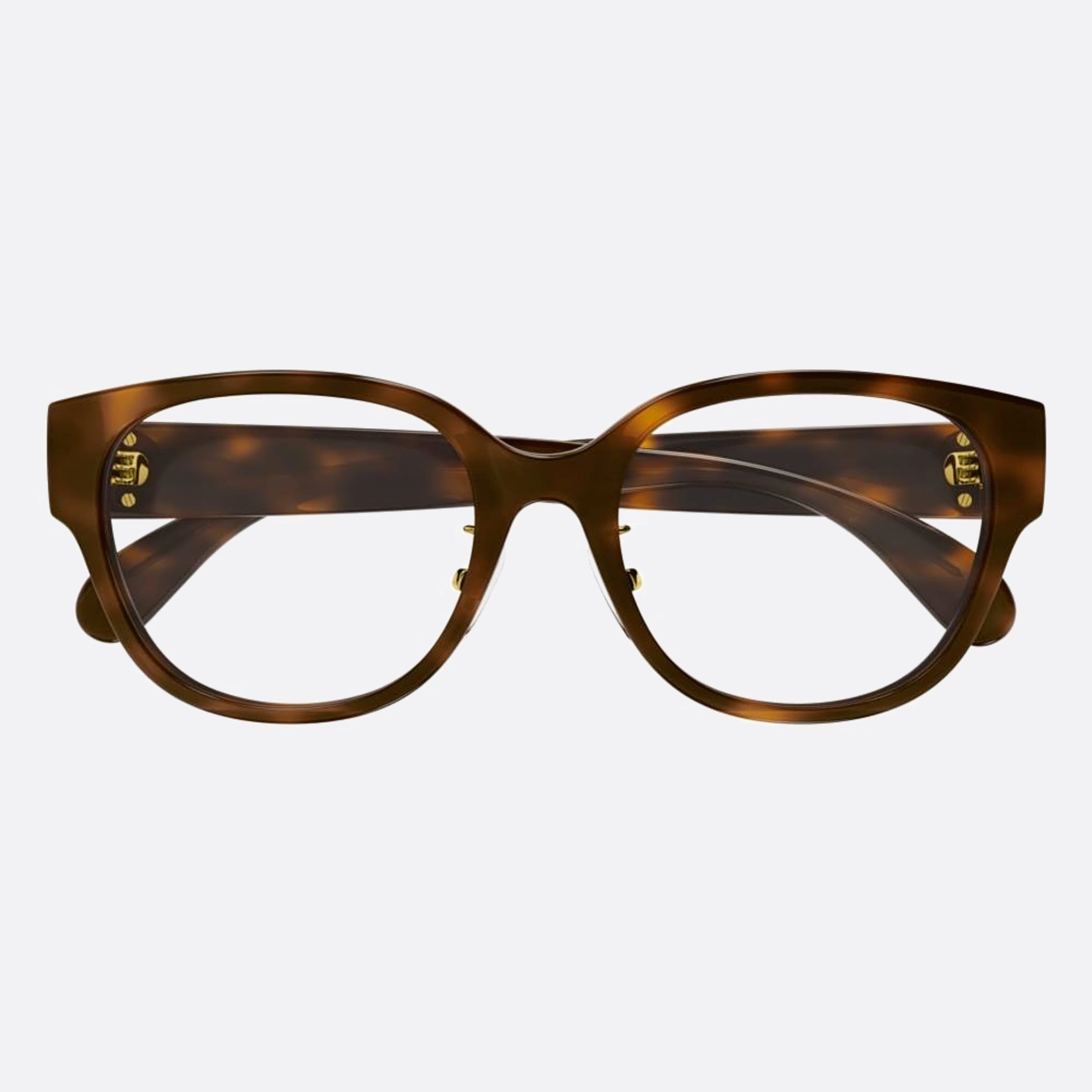 Gucci 53mm Gg1411ok Havana Round Women Eyeglasses - Main View