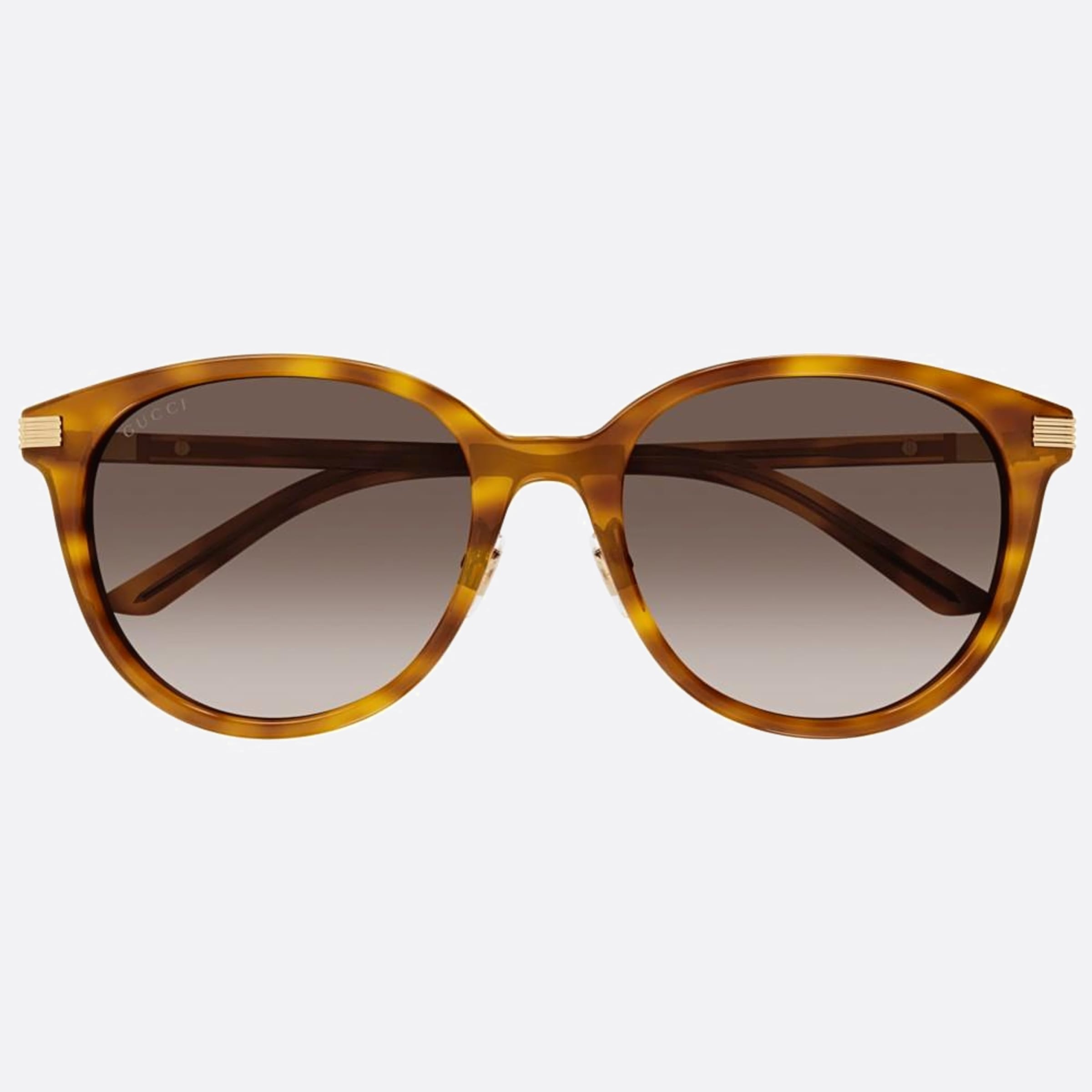 Gucci 55mm Gg1452sk Cdz Havana Round Woman Sunglasses - Main View