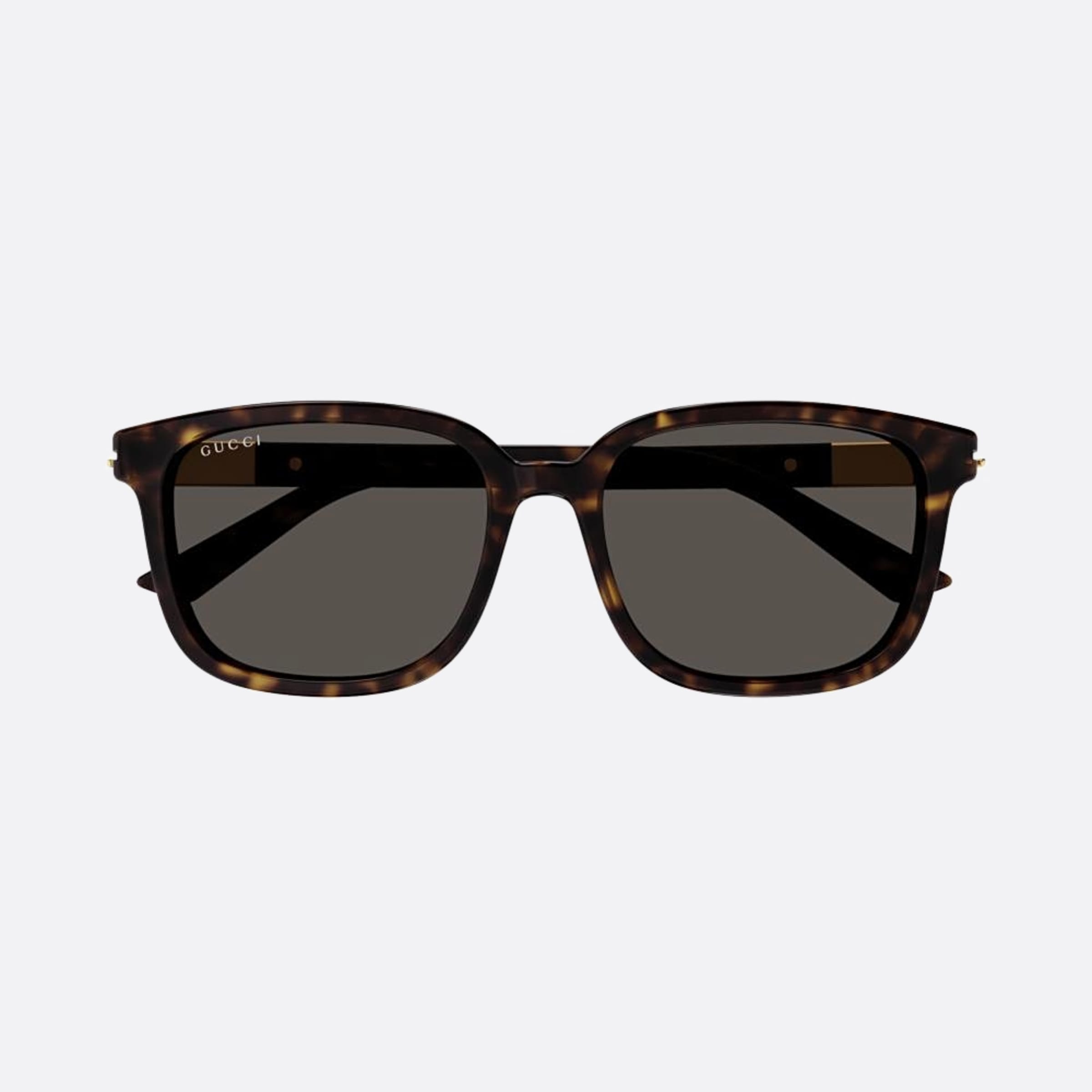 Gucci 55mm Gg1505sk Bre Havana Squared Men Sunglasses - Main View