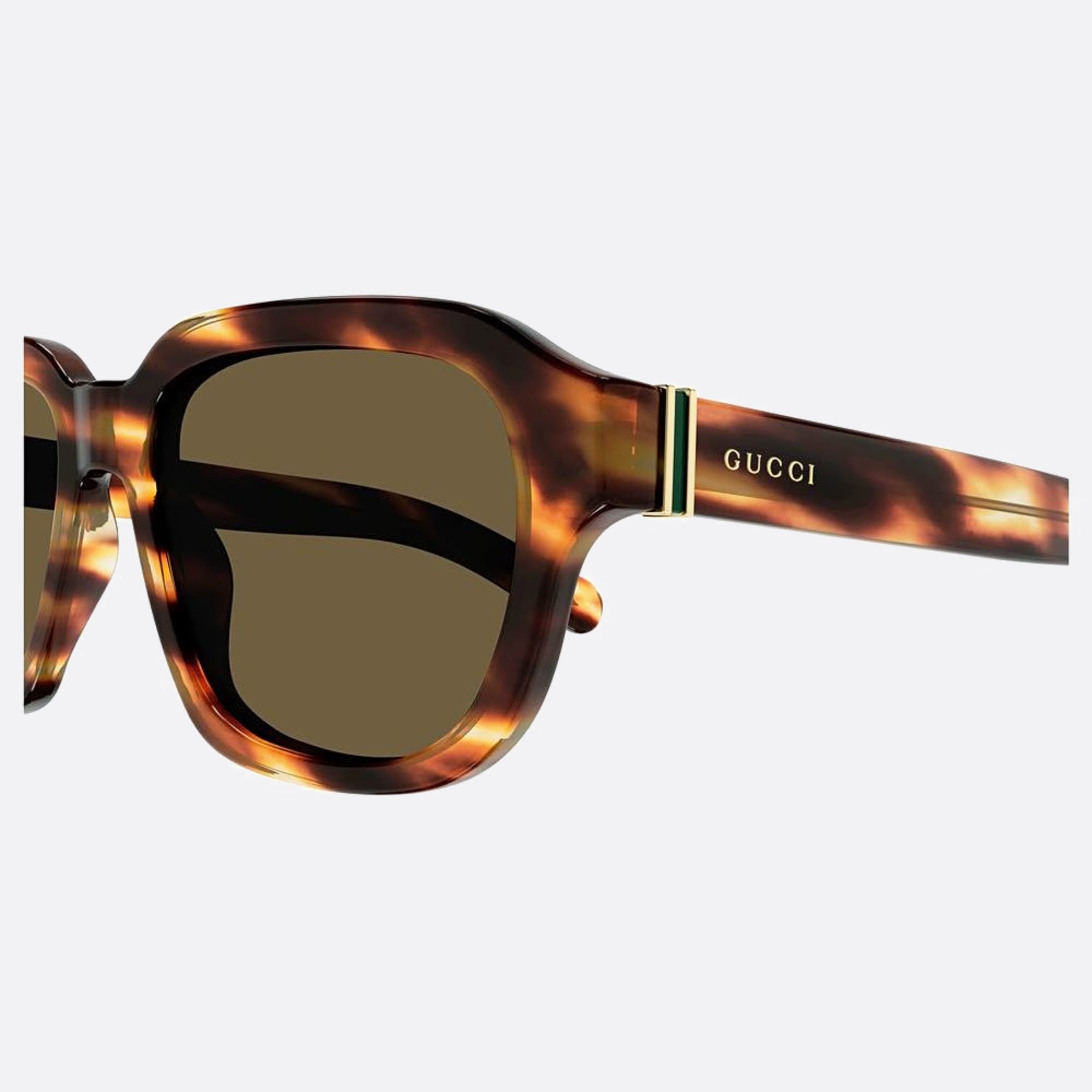 Gucci 55mm Asq Havana Squared Man Sunglasses - Lifestyle Shot