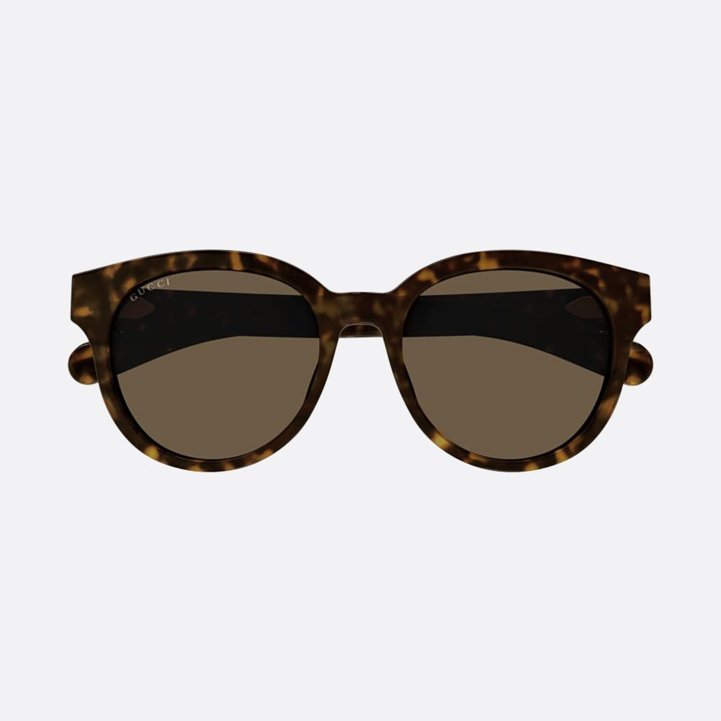 Gucci 53mm Gg1511sk Bre Havana Round Men Sunglasses - Main View