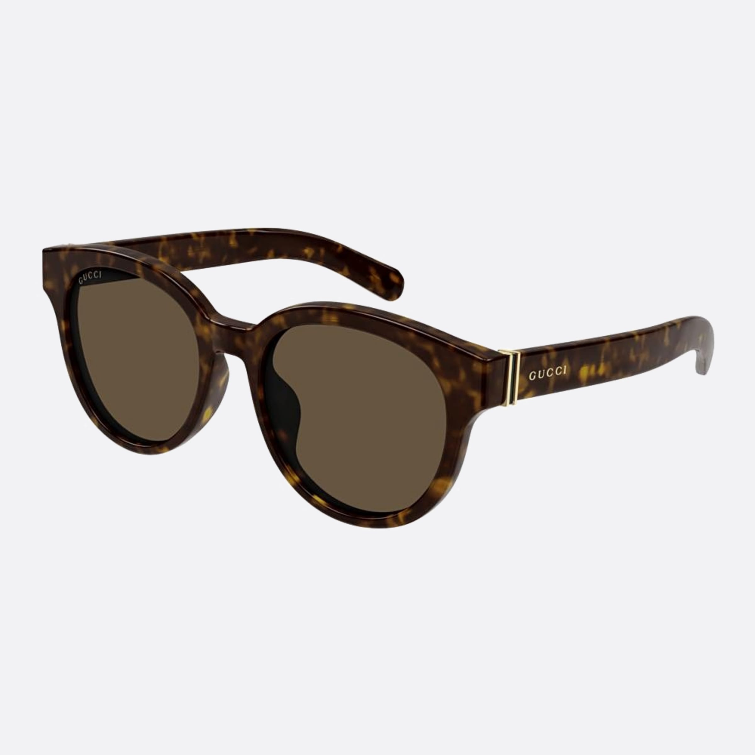 Gucci 53mm Gg1511sk Bre Havana Round Men Sunglasses - Side View