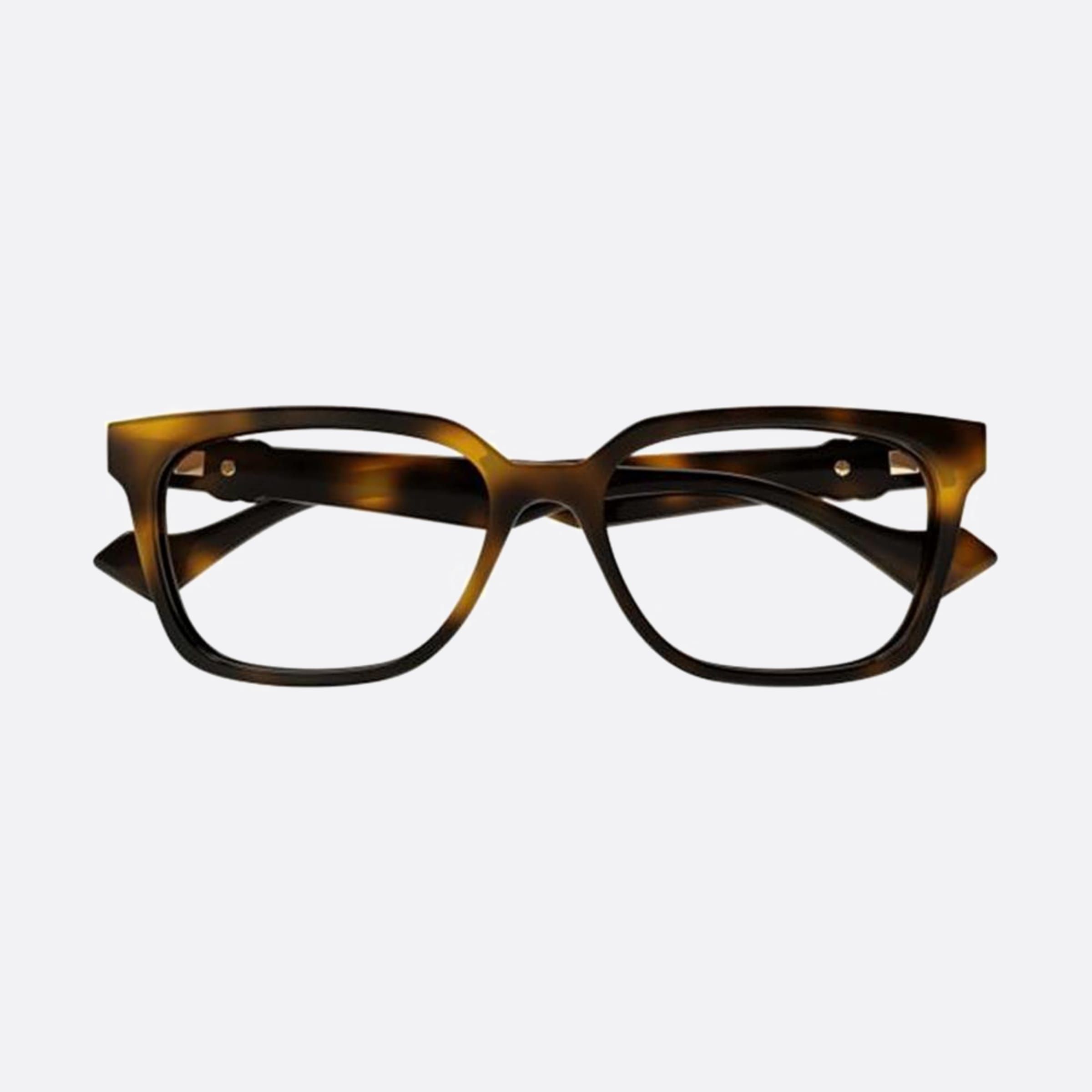 Gucci 55mm Gg1537ok Havana Squared Woman Eyeglasses - Main View