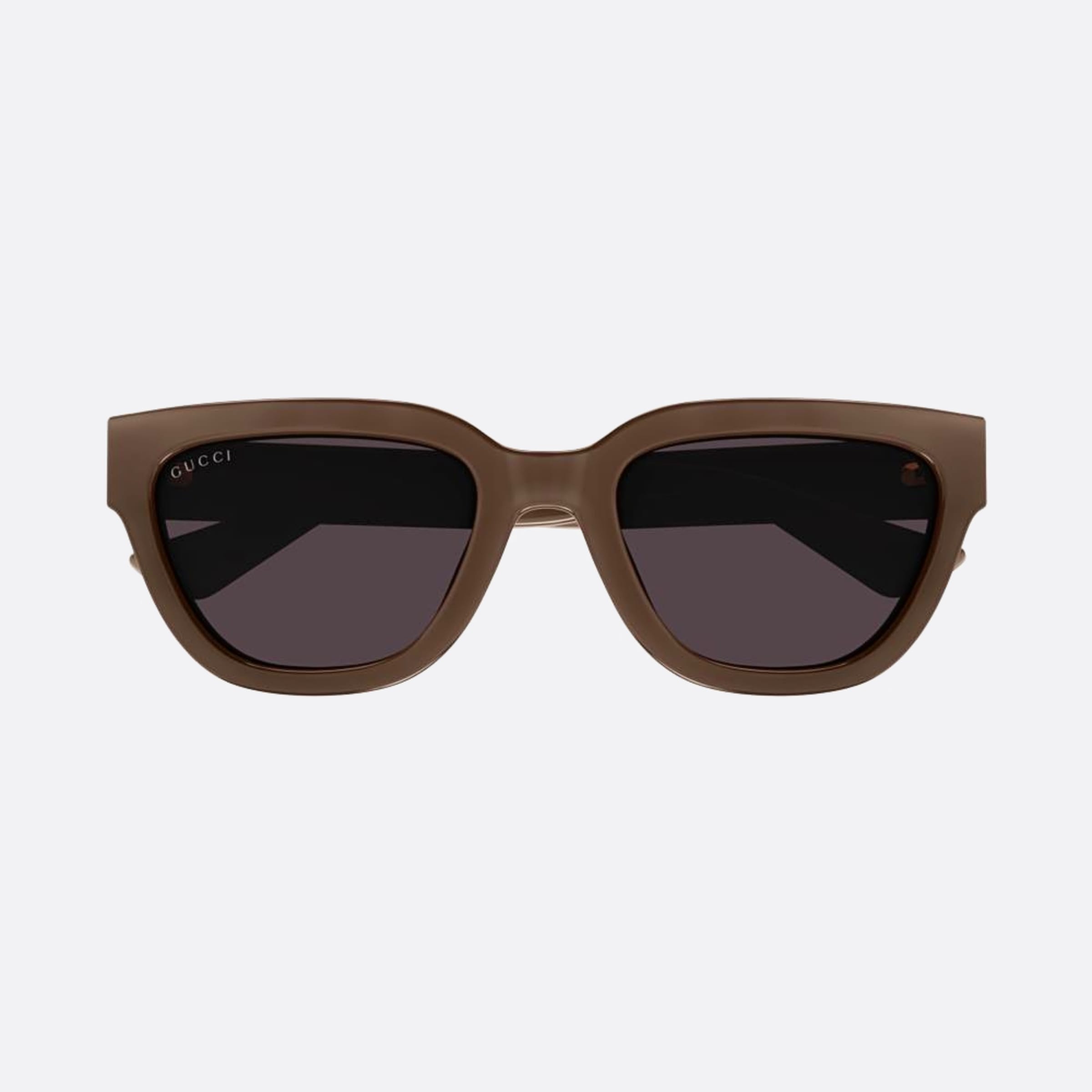 Gucci 54mm Brv Brown Cat Eye Woman Sunglasses - Main View