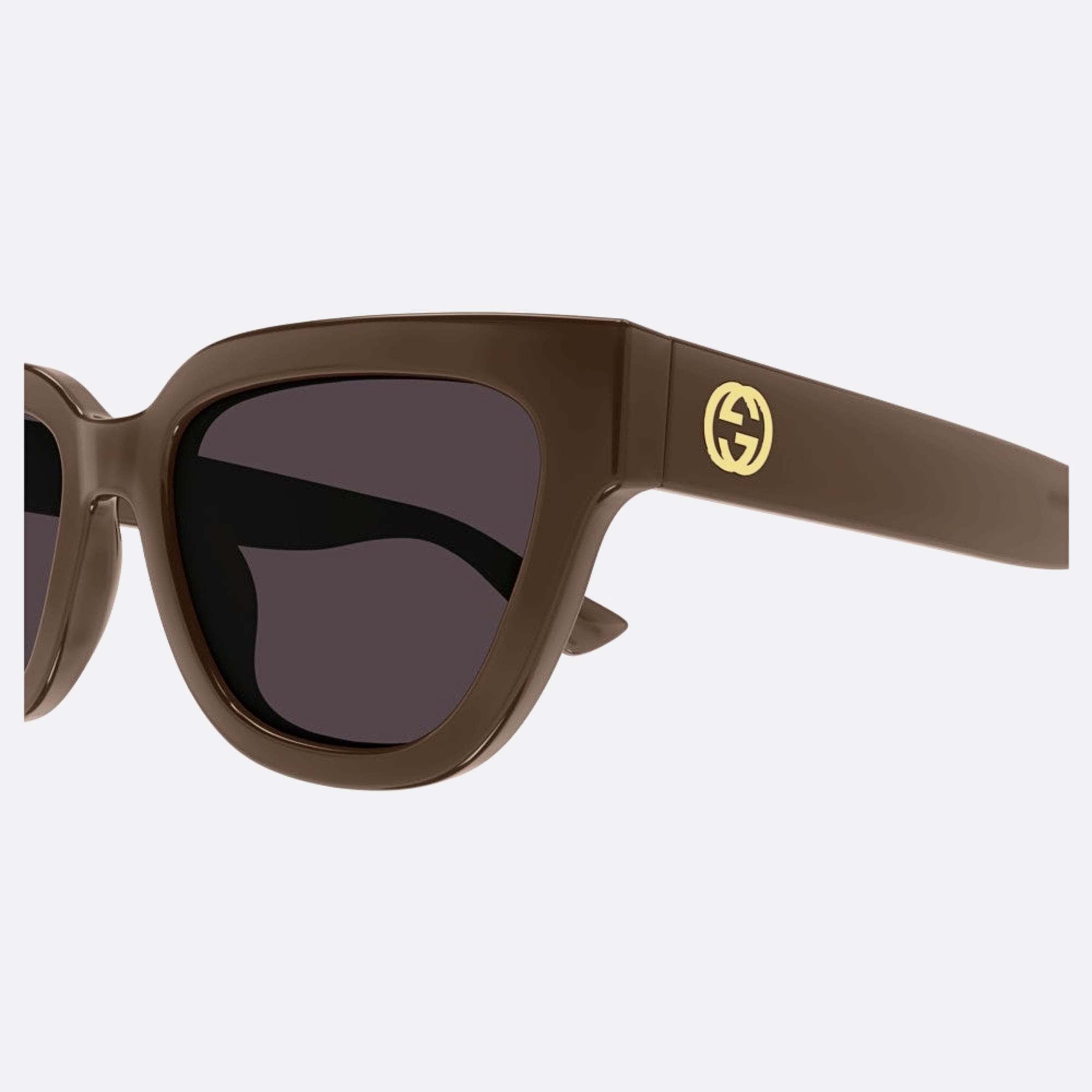 Gucci 54mm Brv Brown Cat Eye Woman Sunglasses - Detail View