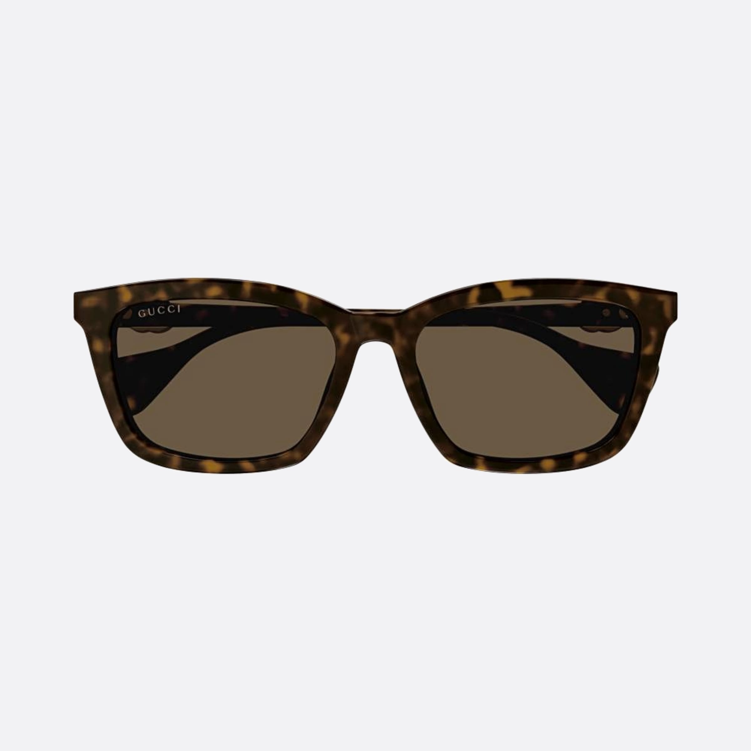 Gucci 55mm Gg1596sk Havana Squared Woman Sunglasses - Main View