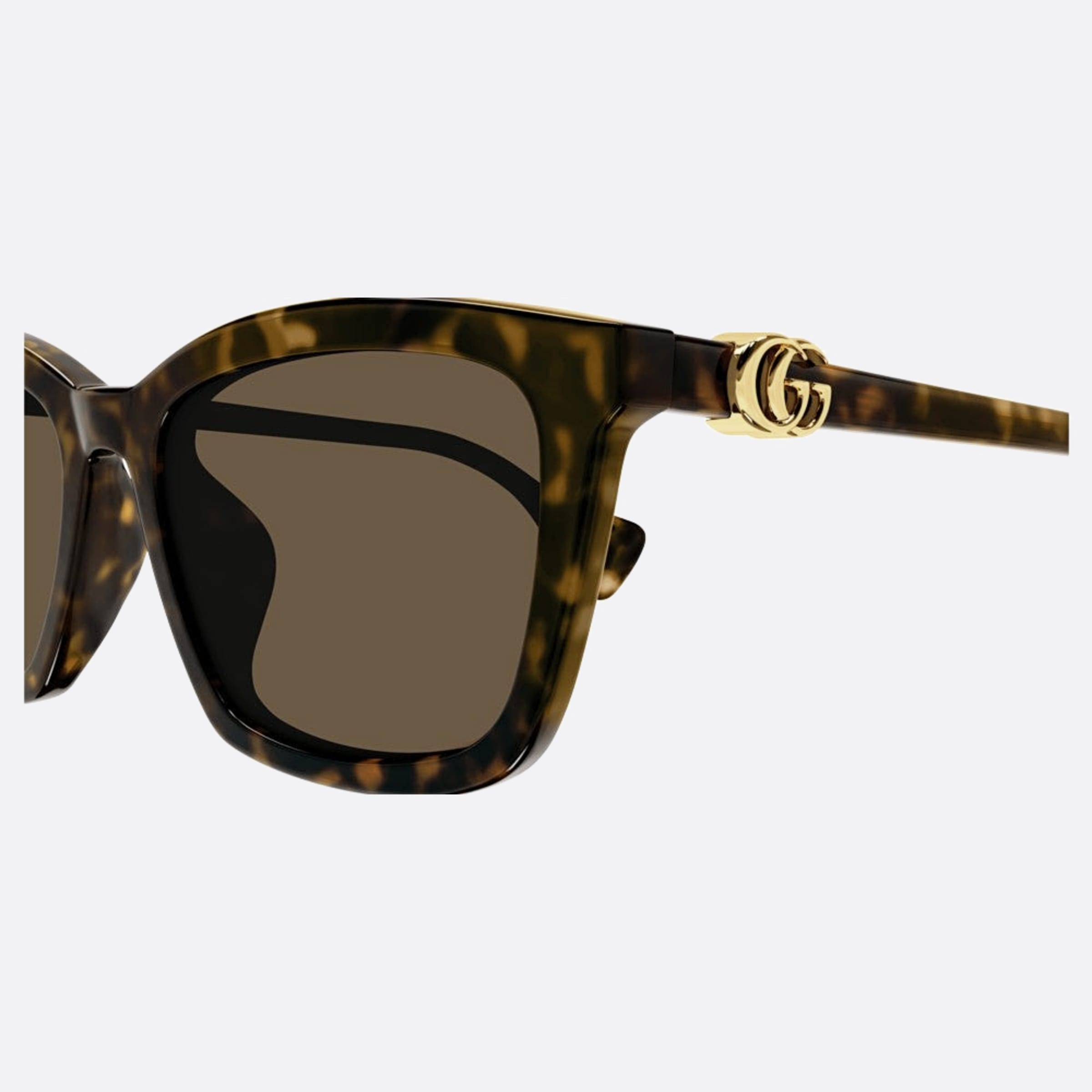 Gucci 55mm Gg1596sk Havana Squared Woman Sunglasses - Detail View