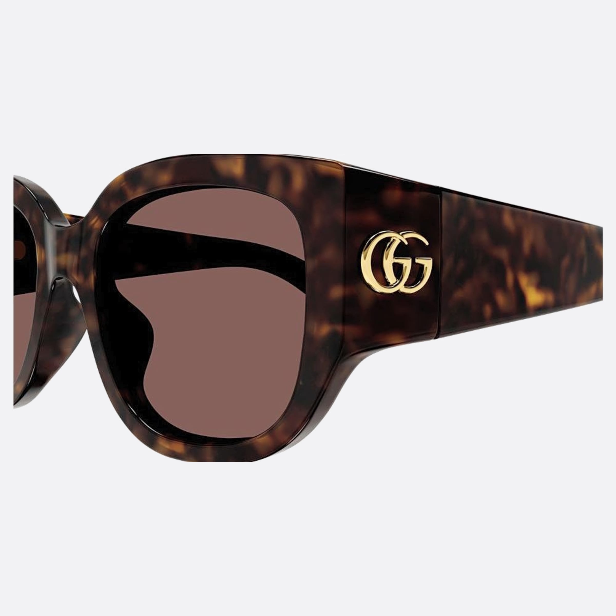 Gucci 52mm Gg1599sa Havana Round Woman Sunglasses - Lifestyle Shot