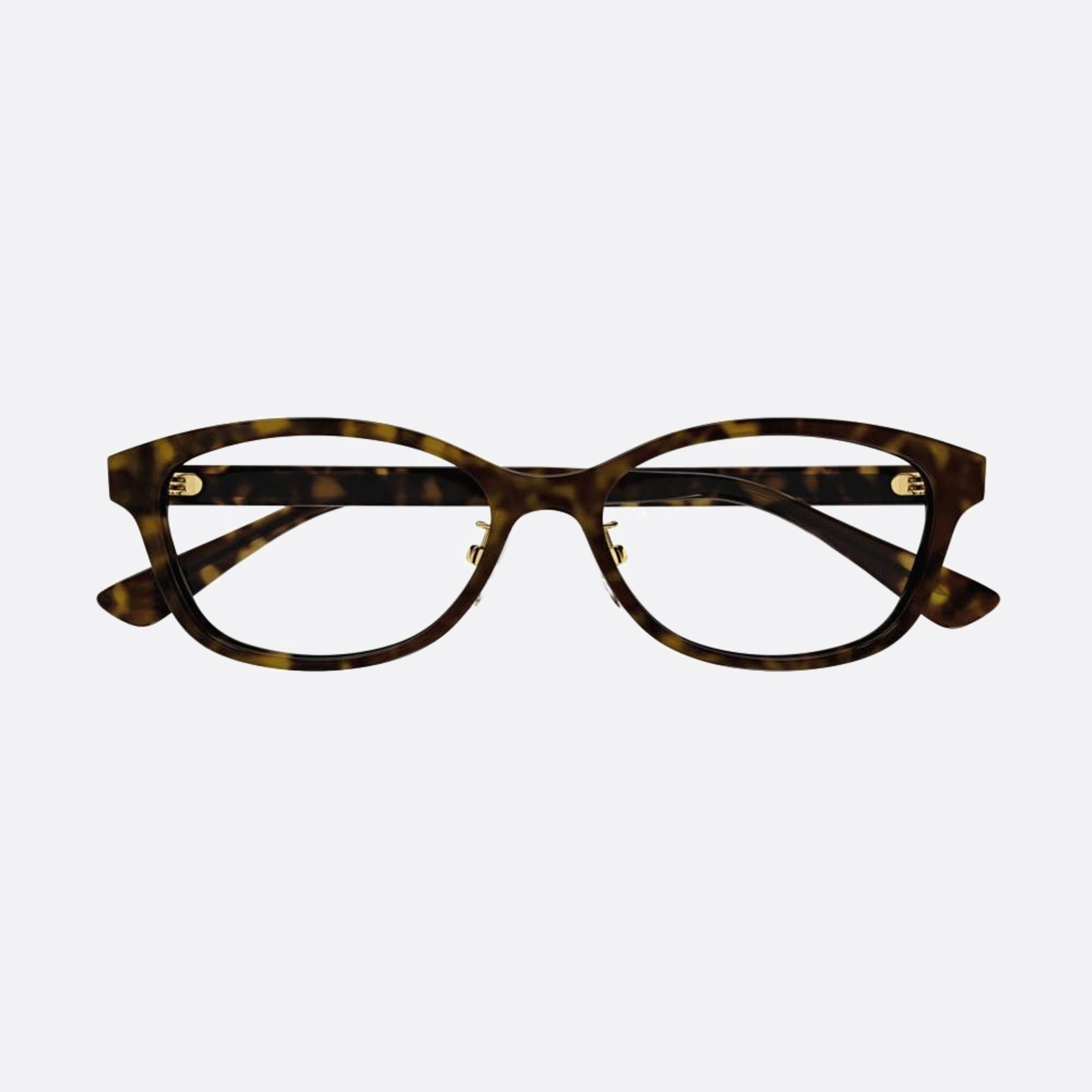 Gucci 54mm Gg1612oj Havana Round Unisex Eyeglasses - Main View