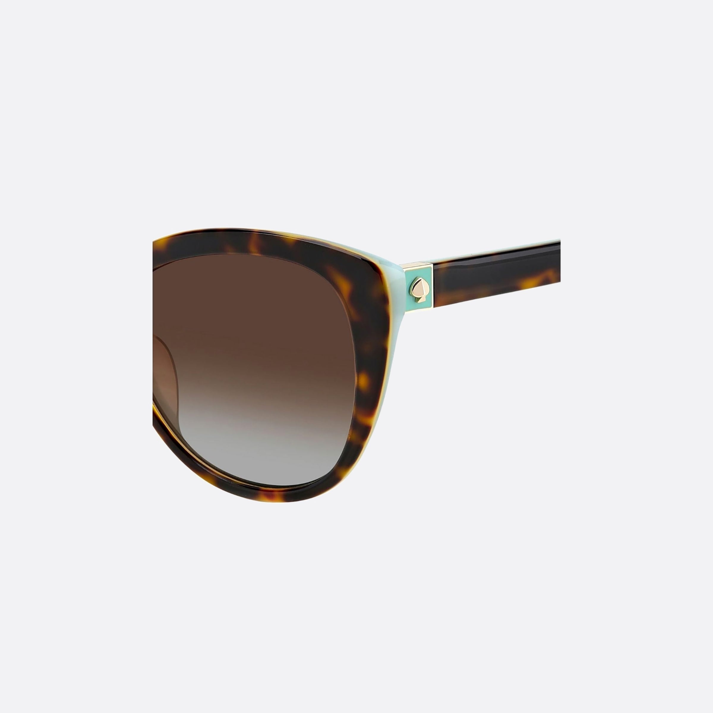 Kate 55mm Spade Amberlee Havana Cat Eye Women Sunglasses - Lifestyle Shot