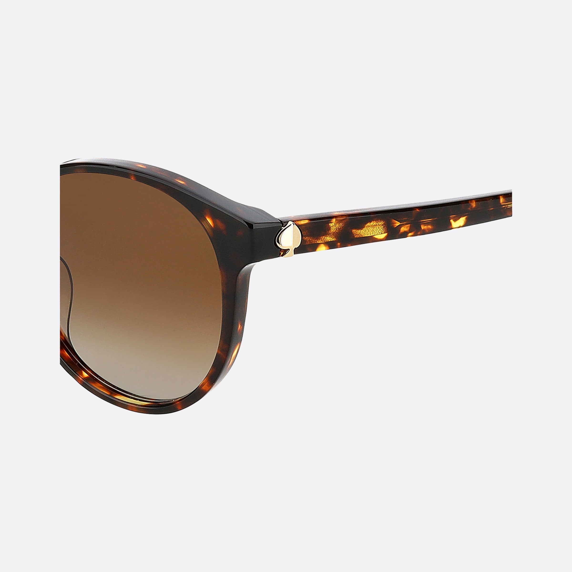 Kate 55mm Spade Eliza Havana Round Polarized Women Sunglasses - Detail View