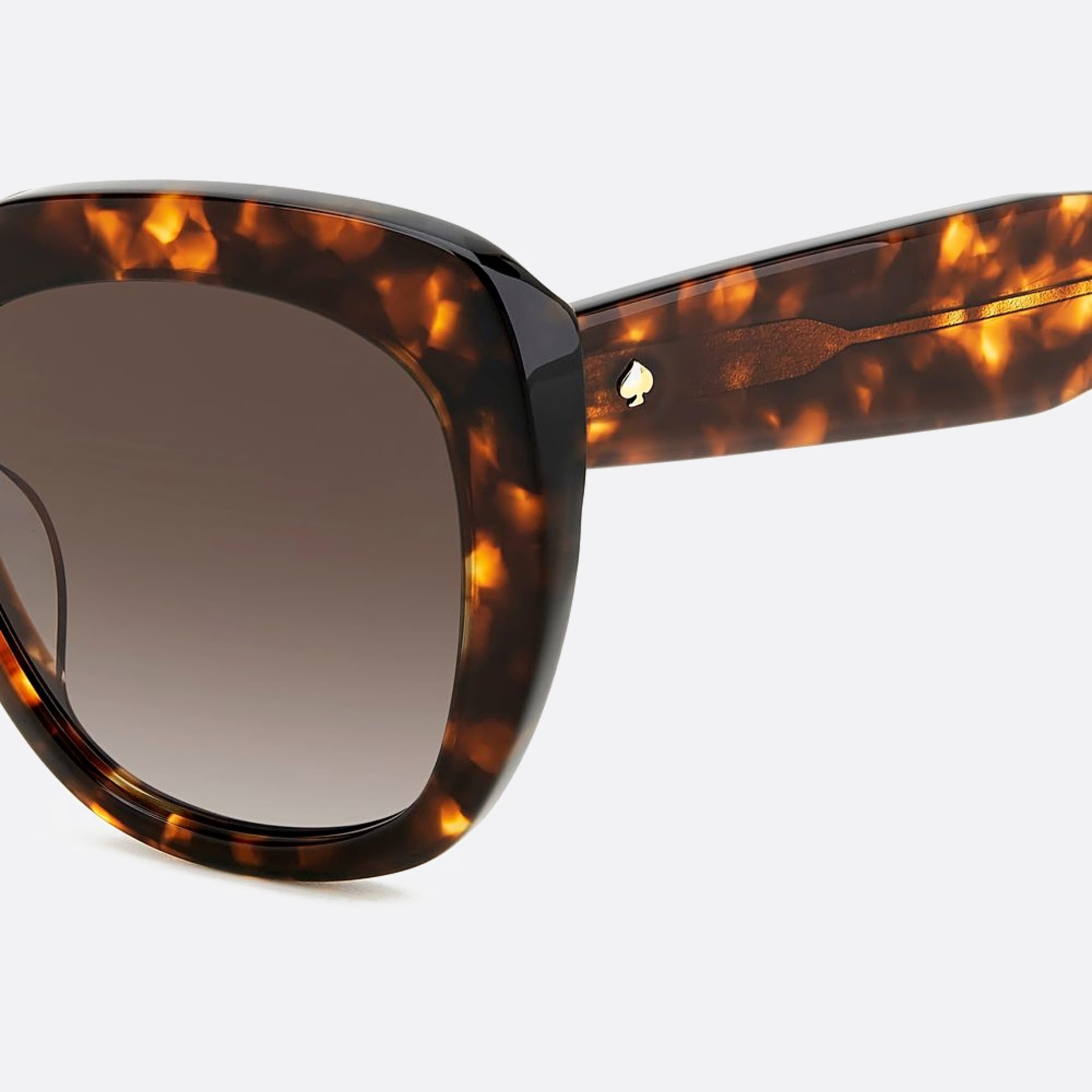 Kate 55mm Spade Winslet Havana Oversize Women Sunglasses - Lifestyle Shot