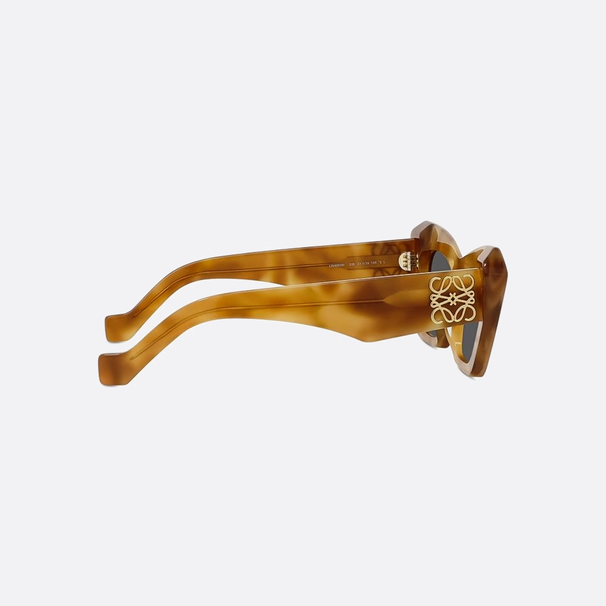 Loewe 51mm Anagram 53a Havana Other Women Sunglasses - Additional Angle