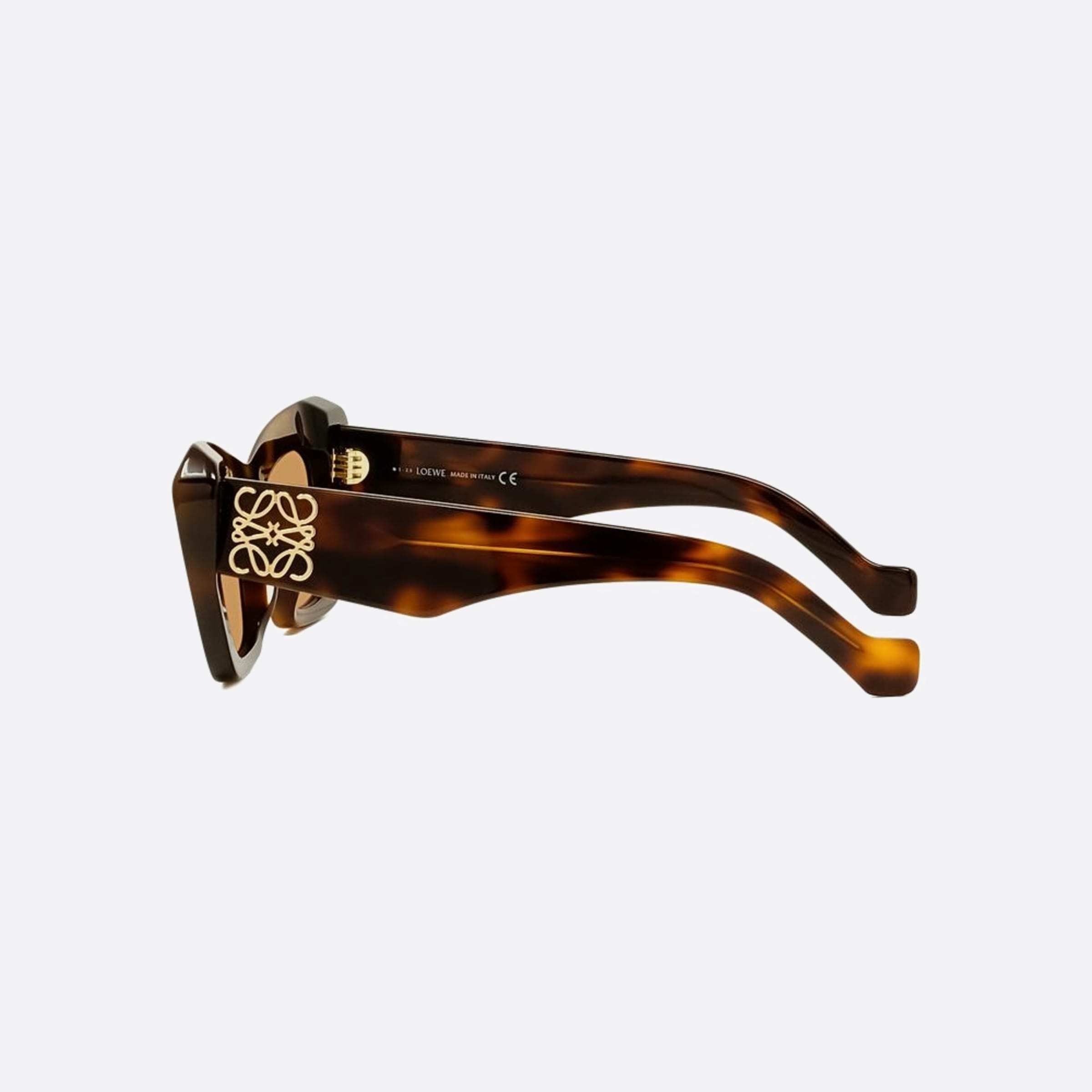 Loewe 51mm Anagram 53e Havana Other Women Sunglasses - Detail View