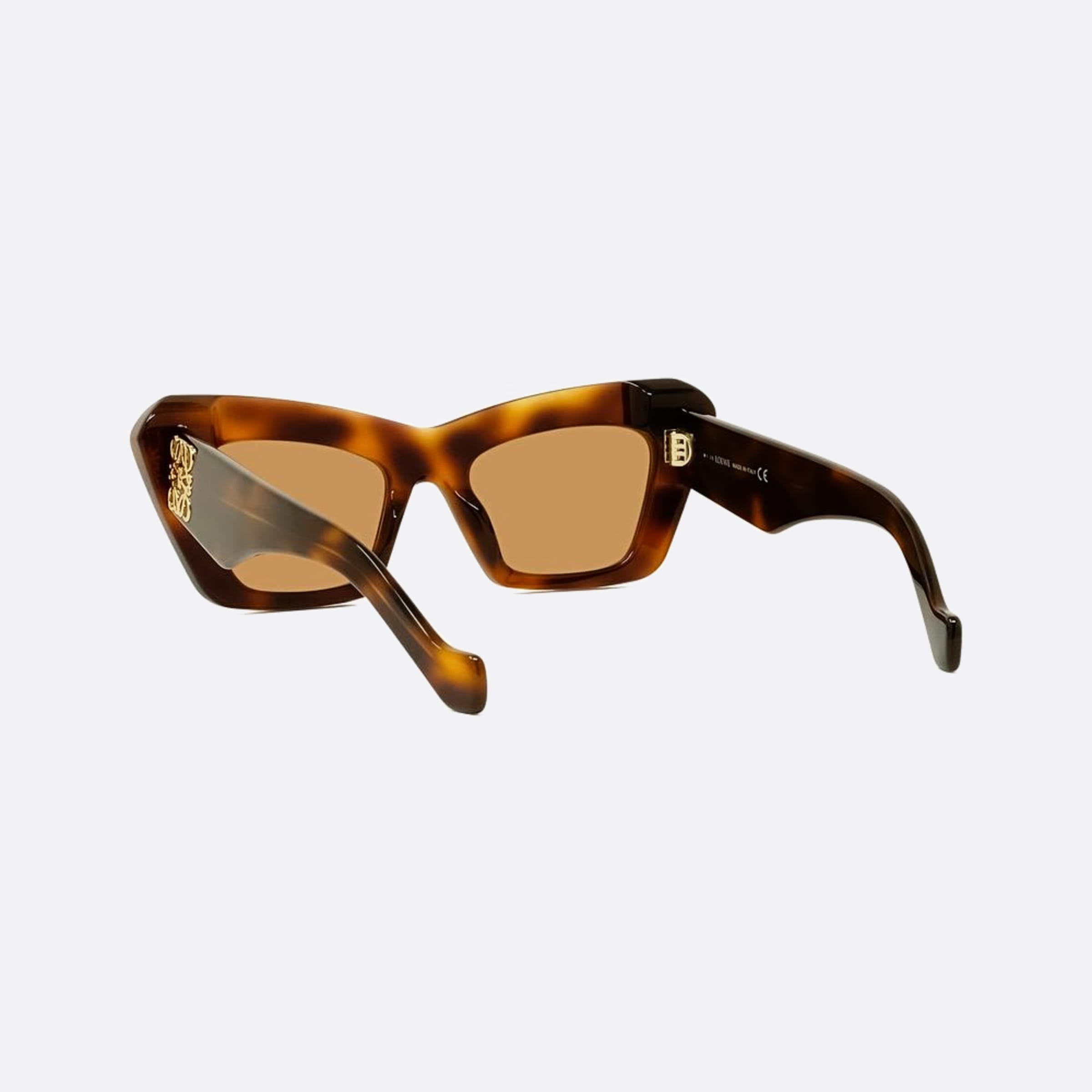 Loewe 51mm Anagram 53e Havana Other Women Sunglasses - Lifestyle Shot