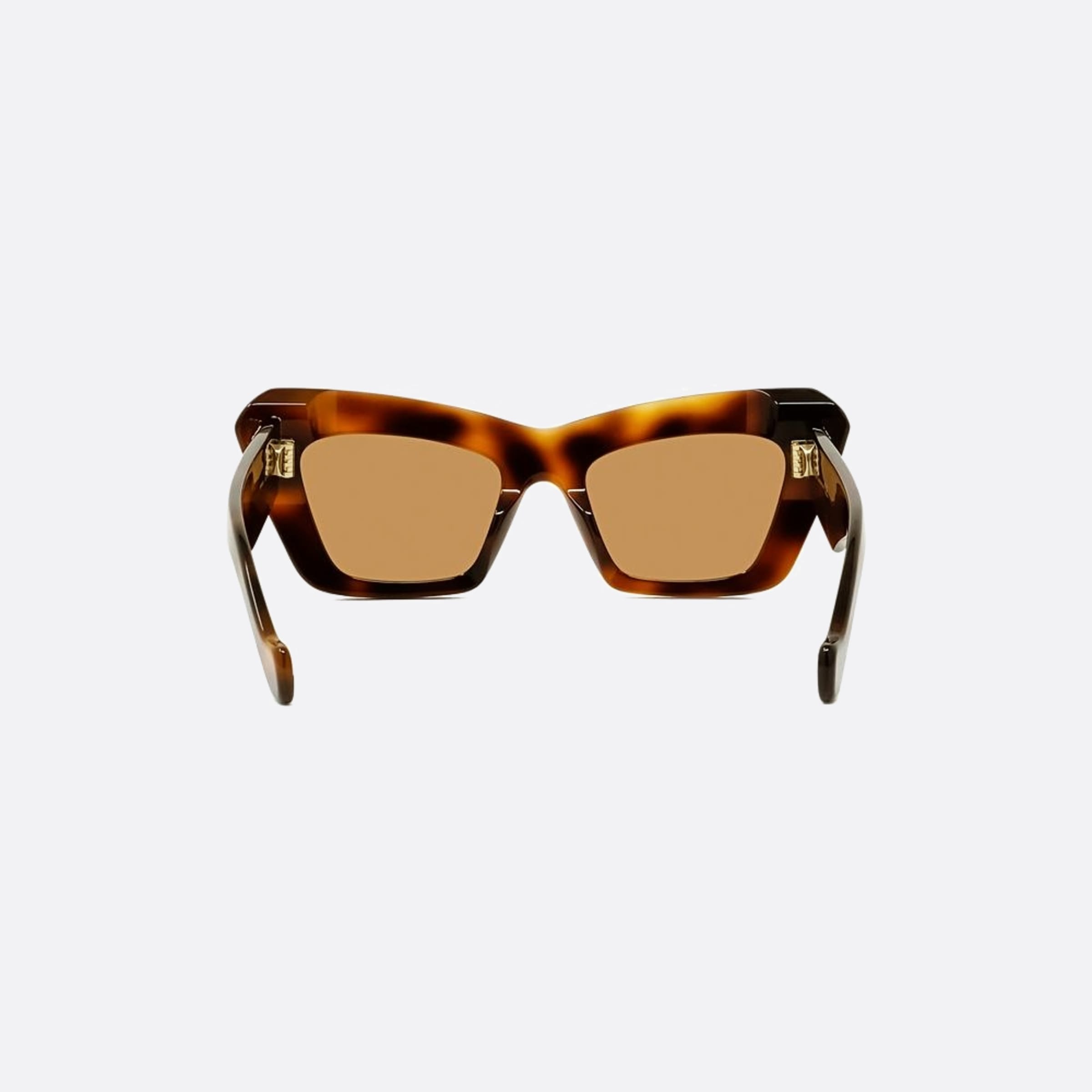 Loewe 51mm Anagram 53e Havana Other Women Sunglasses - Additional Angle