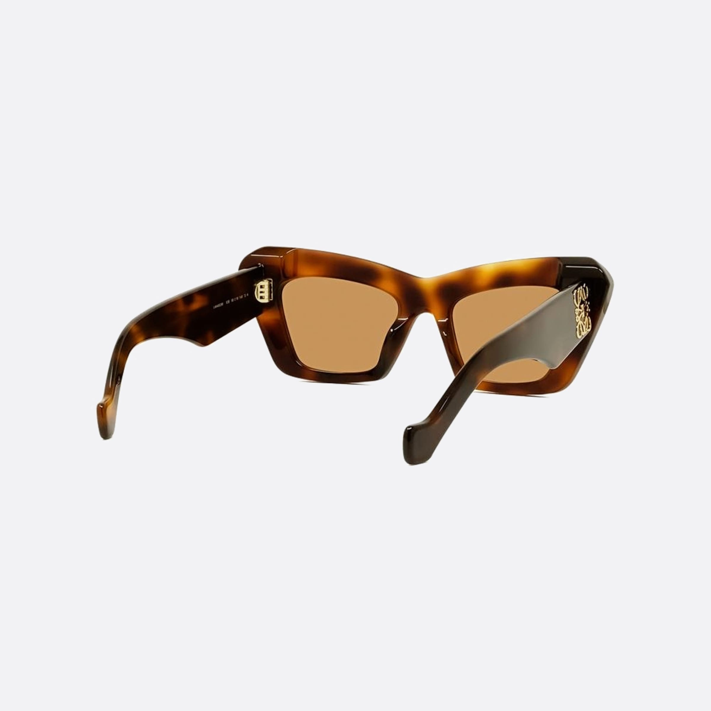Loewe 51mm Anagram 53e Havana Other Women Sunglasses - Additional Angle