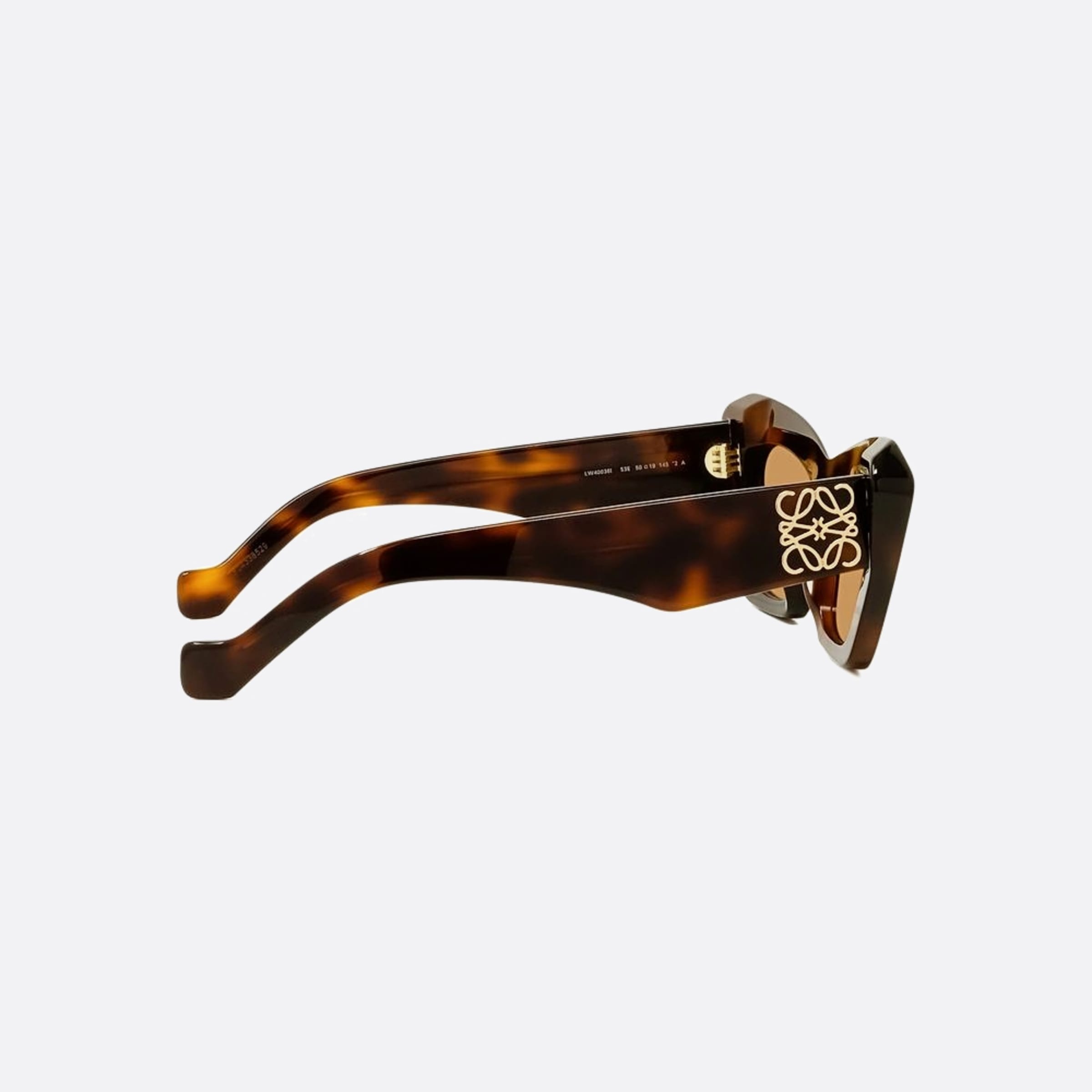 Loewe 51mm Anagram 53e Havana Other Women Sunglasses - Additional Angle