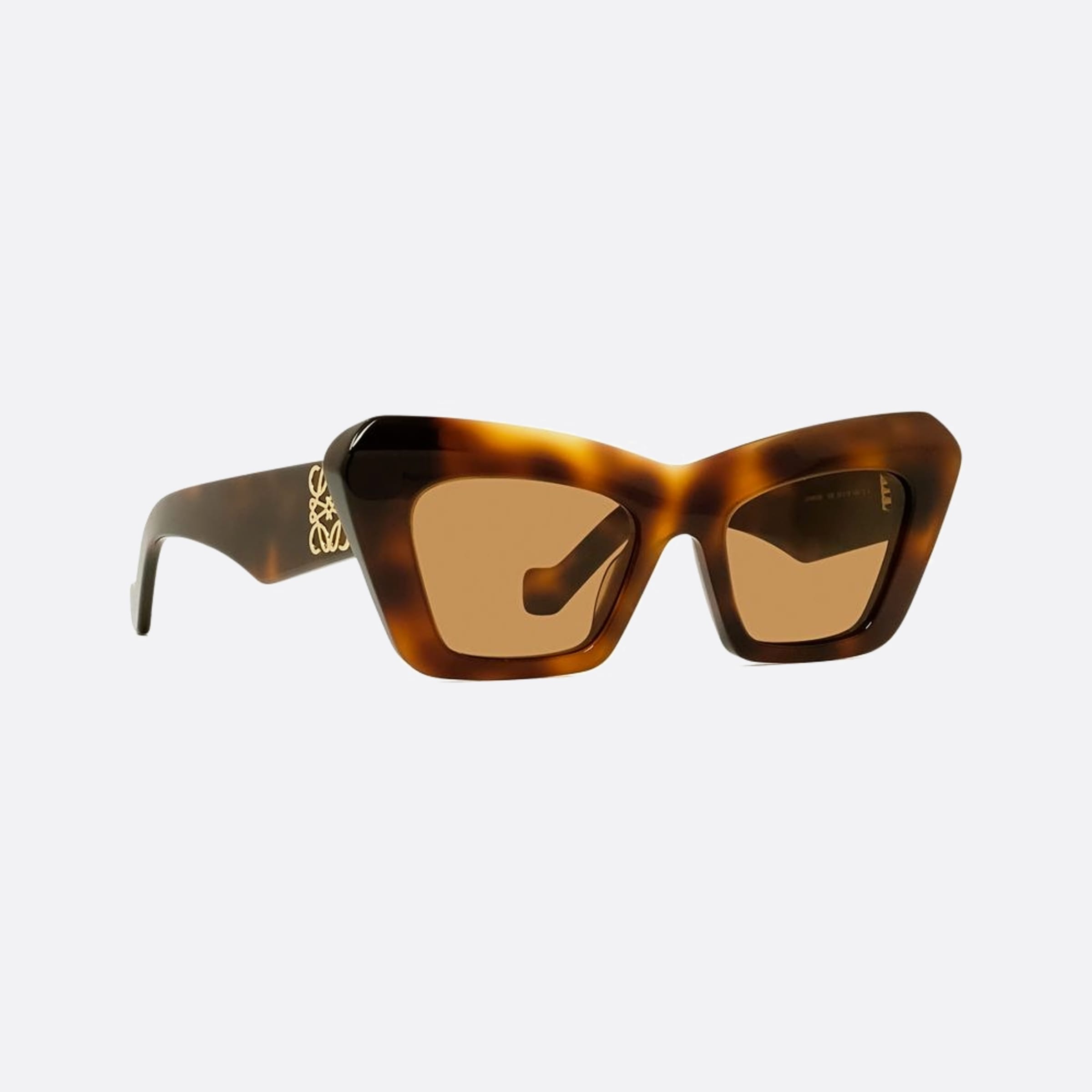 Loewe 51mm Anagram 53e Havana Other Women Sunglasses - Additional Angle