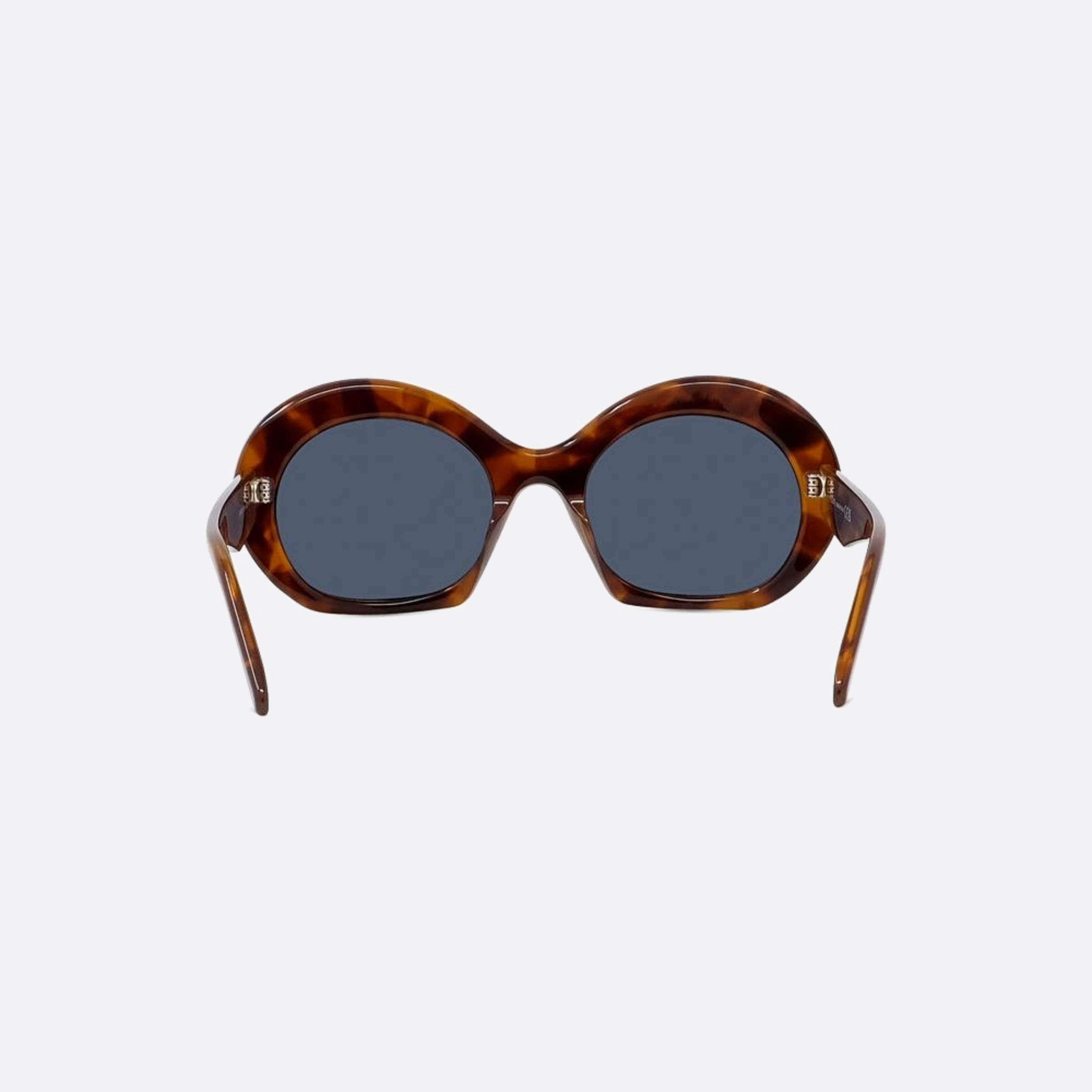 Loewe 54mm Curvy 53v Havana Round Women Sunglasses - Additional Angle