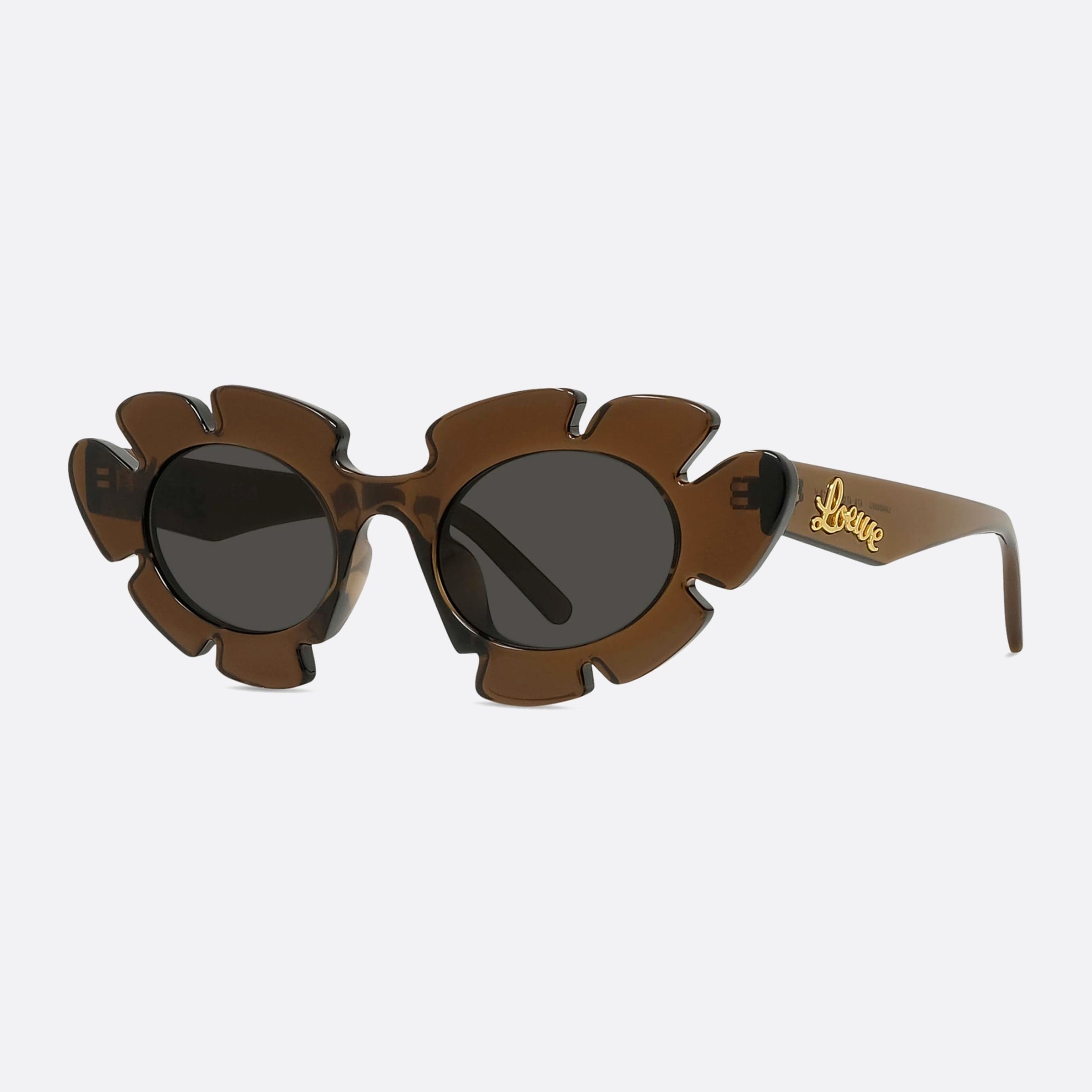 Loewe 47mm Lw40088u 47a Brown Unisex Sunglasses - Main View