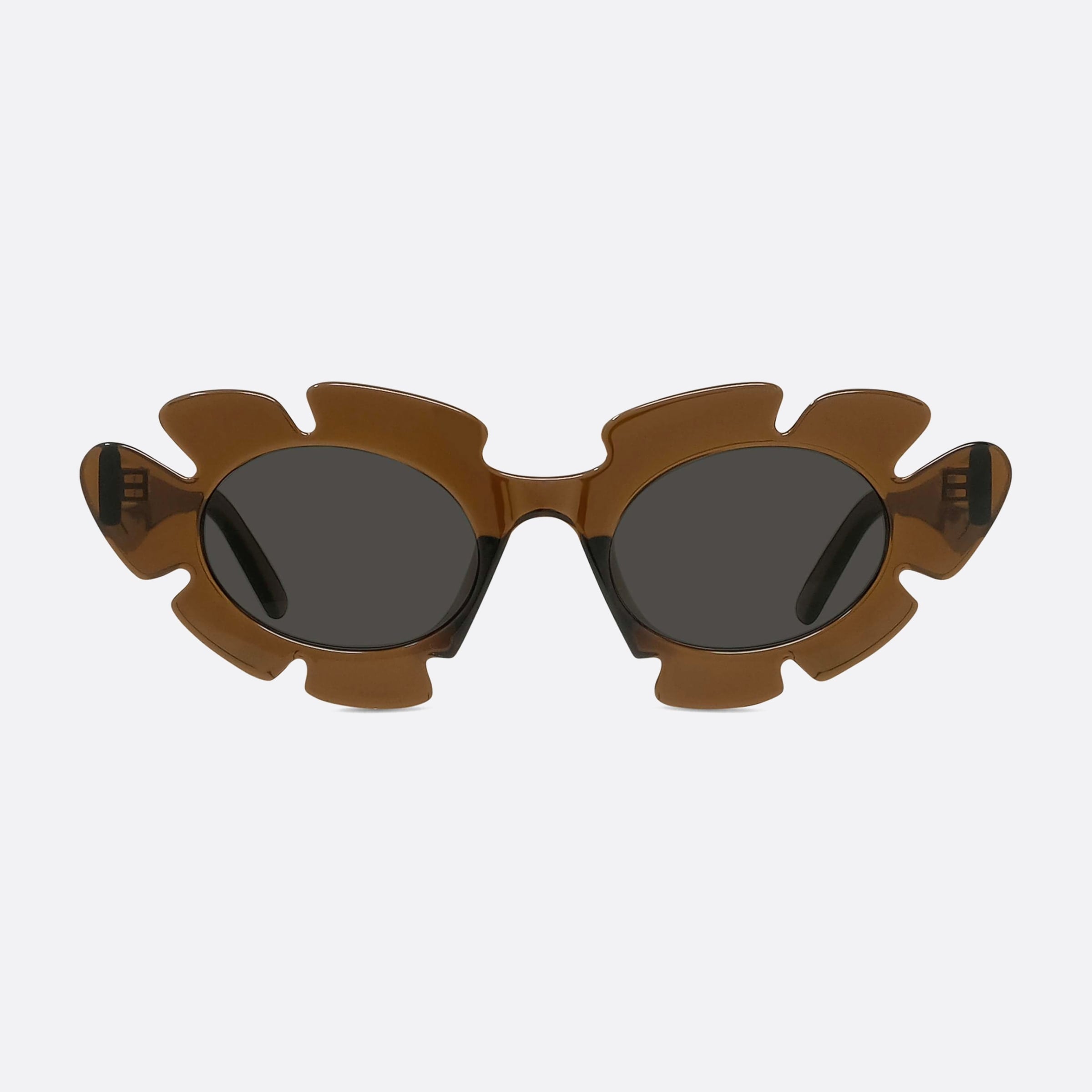 Loewe 47mm Lw40088u 47a Brown Unisex Sunglasses - Side View