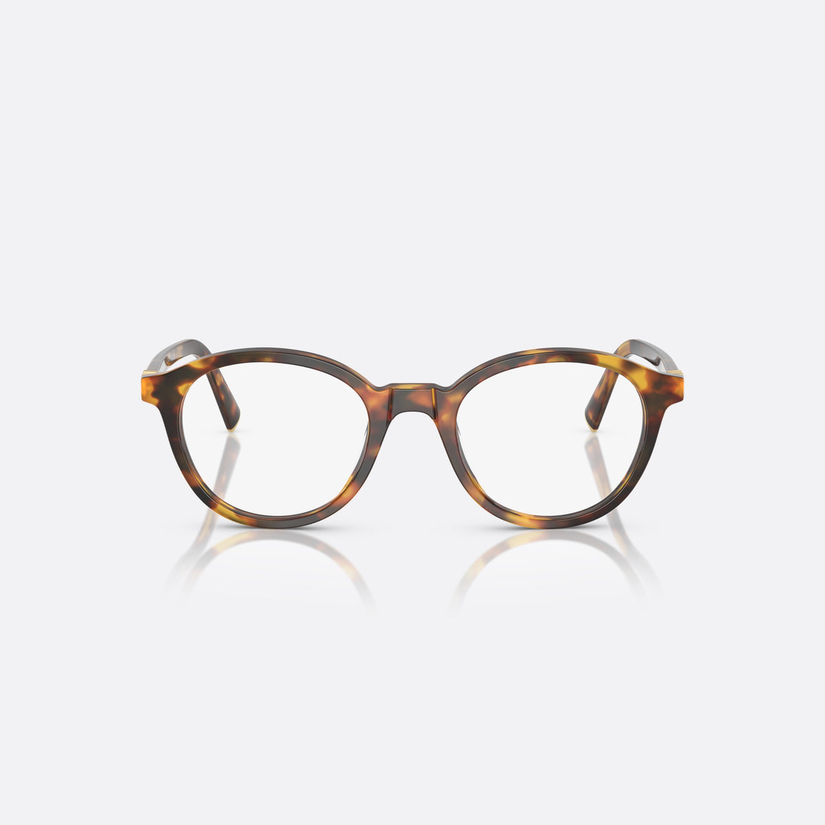 Miu Miu 0MU 02WV 14L1O1 eyeglasses, havana pantos frame for women, plain acetate bridge, brand lettering on temple, front view