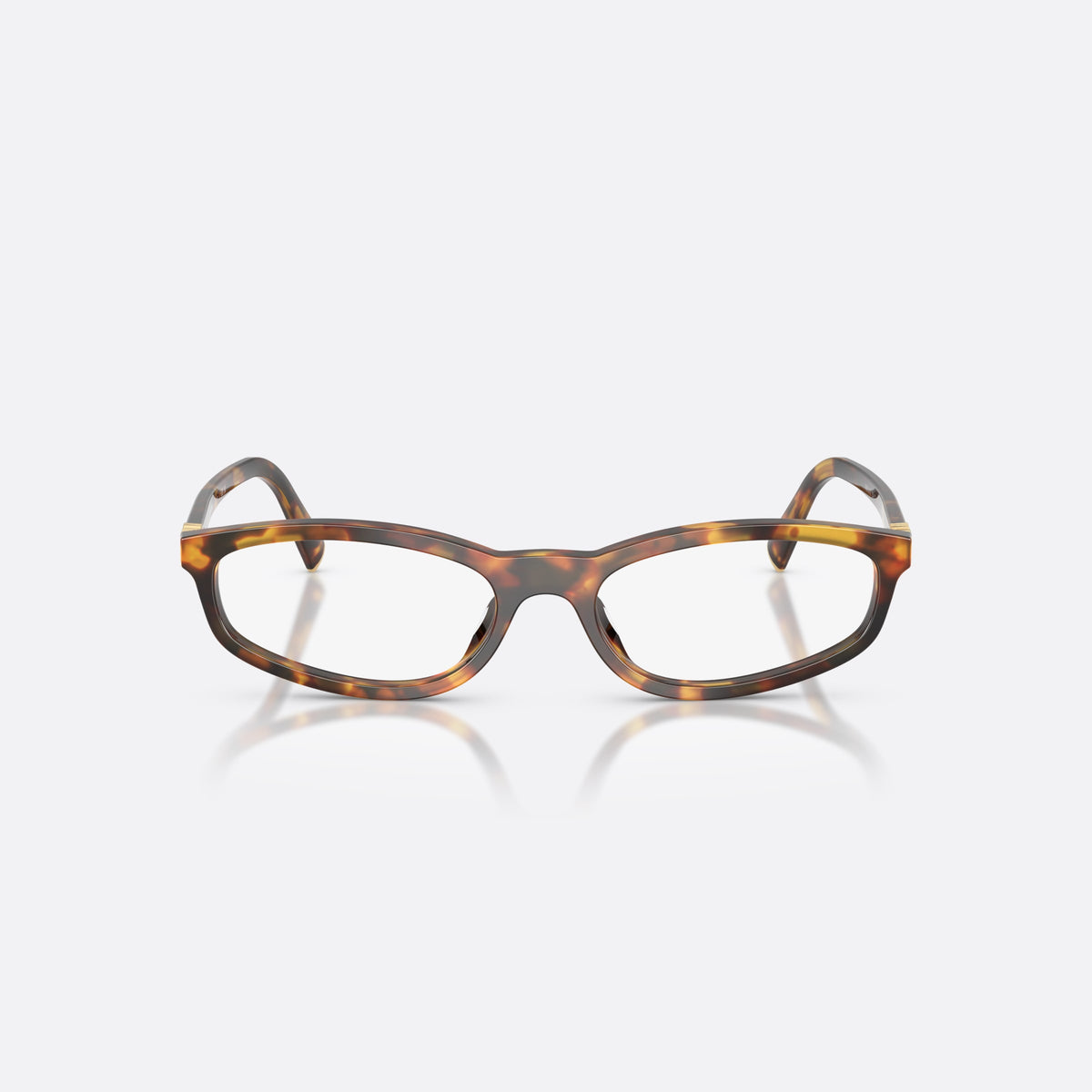 Miu Miu MU 01ZV 14L1O1 eyeglasses, havana oval frame for women, keyhole bridge, brand lettering on temple, full-rim frame, front view