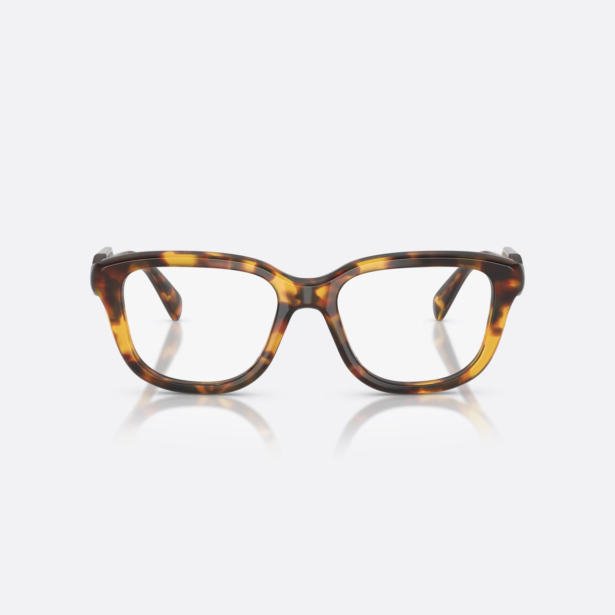 Miu Miu MU 02ZV 14L1O1 eyeglasses, havana rectangle frame for women, plain bridge, brand lettering on temples, full-rim frame, front view