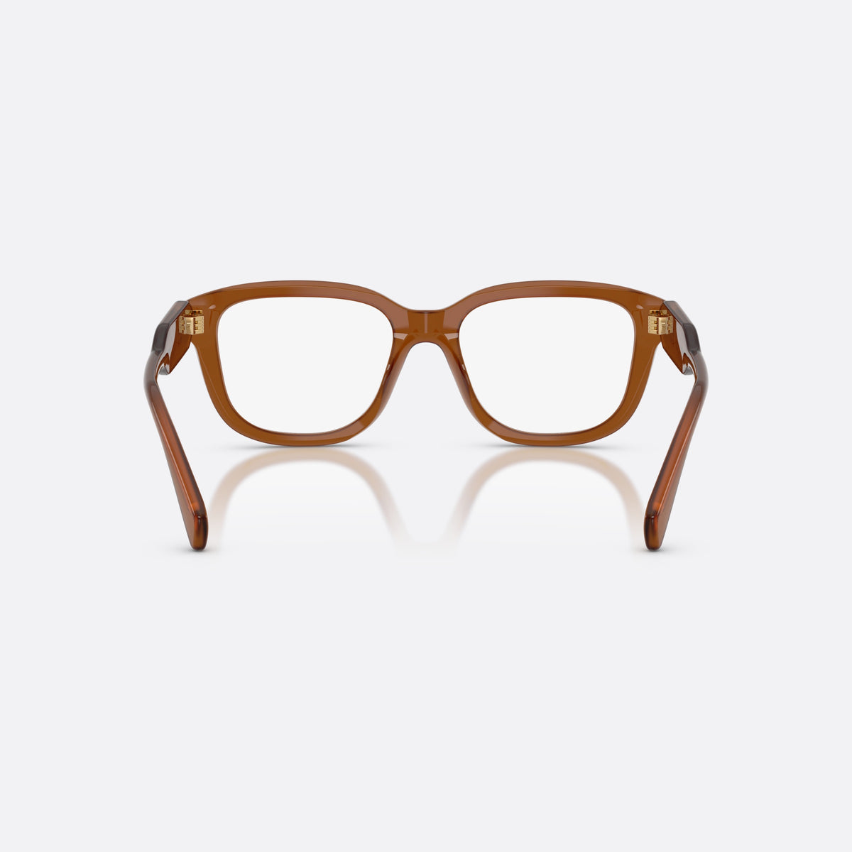 Miu Miu MU 02ZV 22I1O1 eyeglasses, brown rectangle frame for women, plain acetate-style bridge, brand lettering on temples, back view