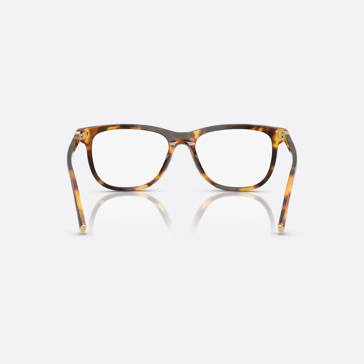 Rame ochelari de vedere Miu Miu MU 01WV 14L1O1, patrati havana, pentru femei, punte dublă simplă, literele brandului pe brațe, vedere din spate