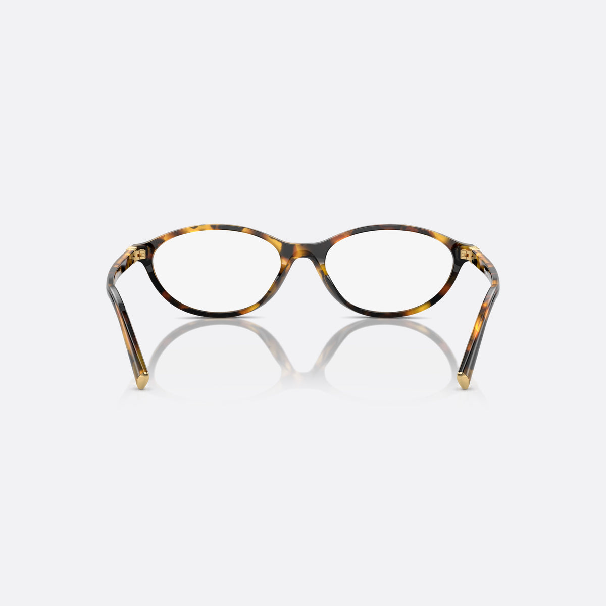Miu Miu VMU 09XV VAU-1O1 eyeglasses, havana geometric frame for women, plain bridge with fused top, slim tapered temples, back view