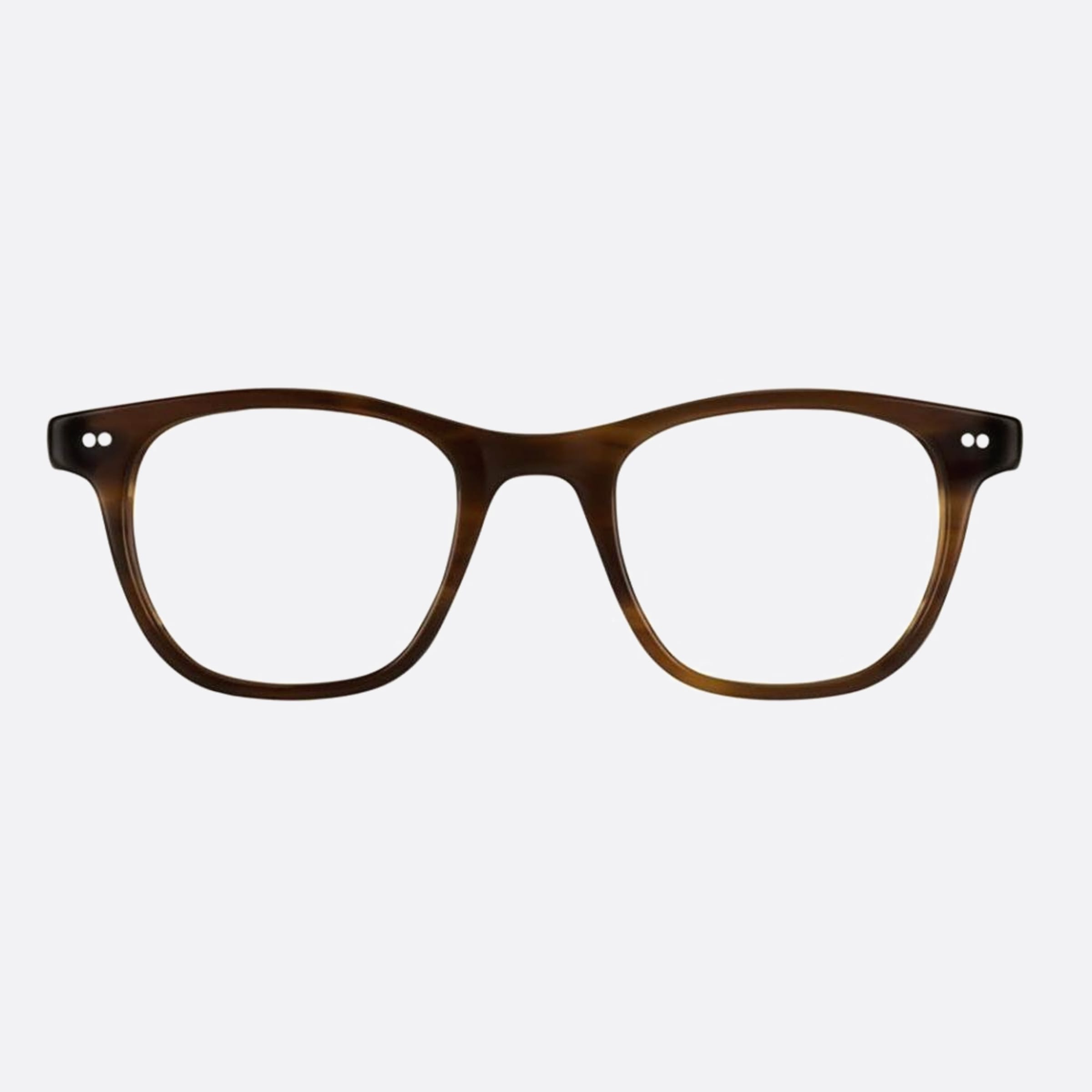 Moscot 50mm Noah Bln Havana Pantos Unisex Eyeglasses - Main View