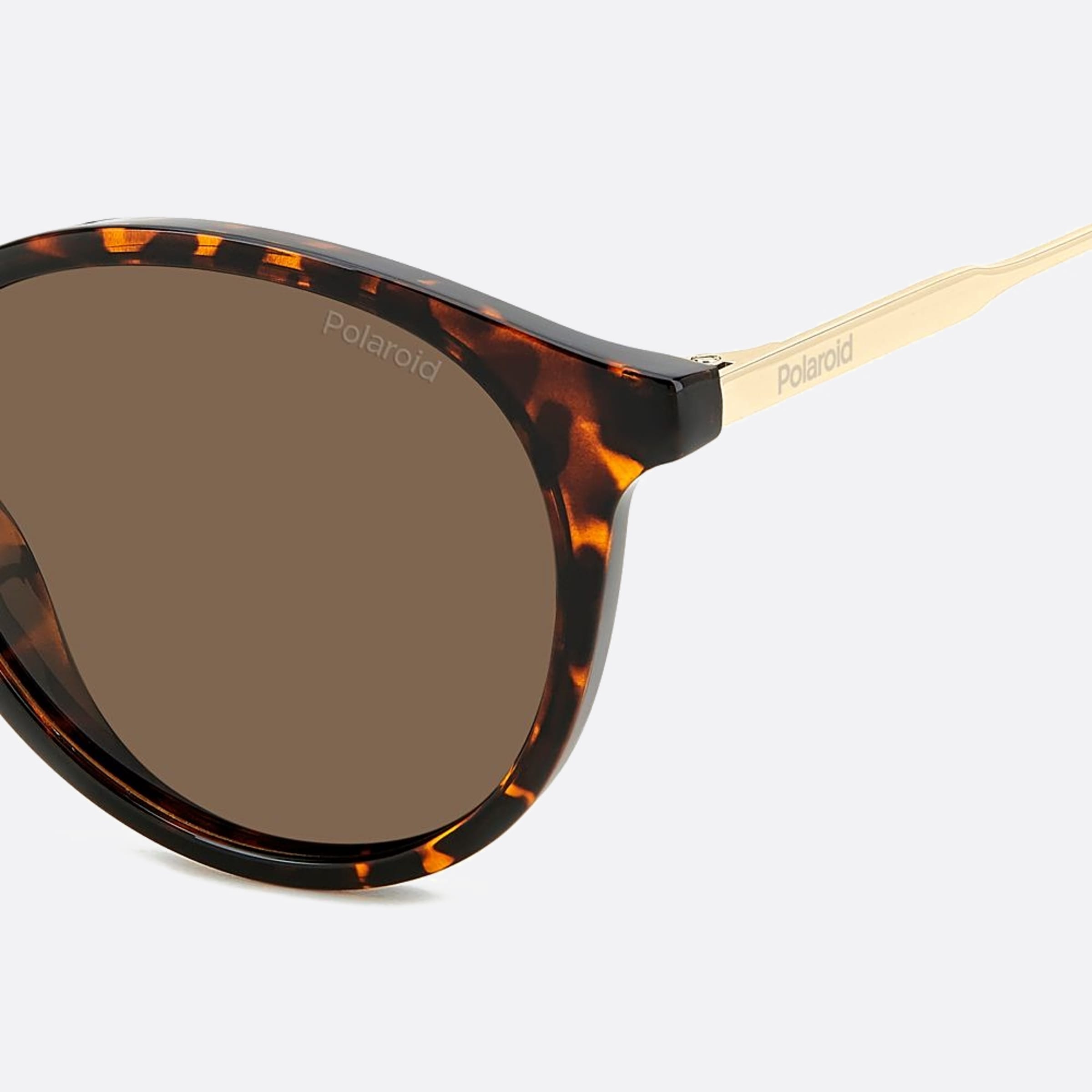 Polaroid 51mm Pld Havana Round Polarized Unisex Sunglasses - Detail View