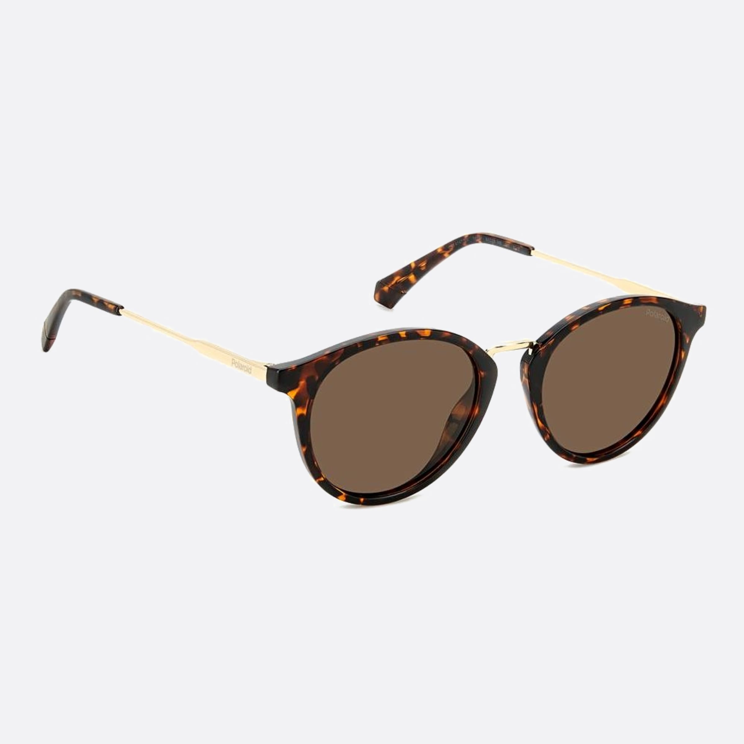 Polaroid 51mm Pld Havana Round Polarized Unisex Sunglasses - Lifestyle Shot
