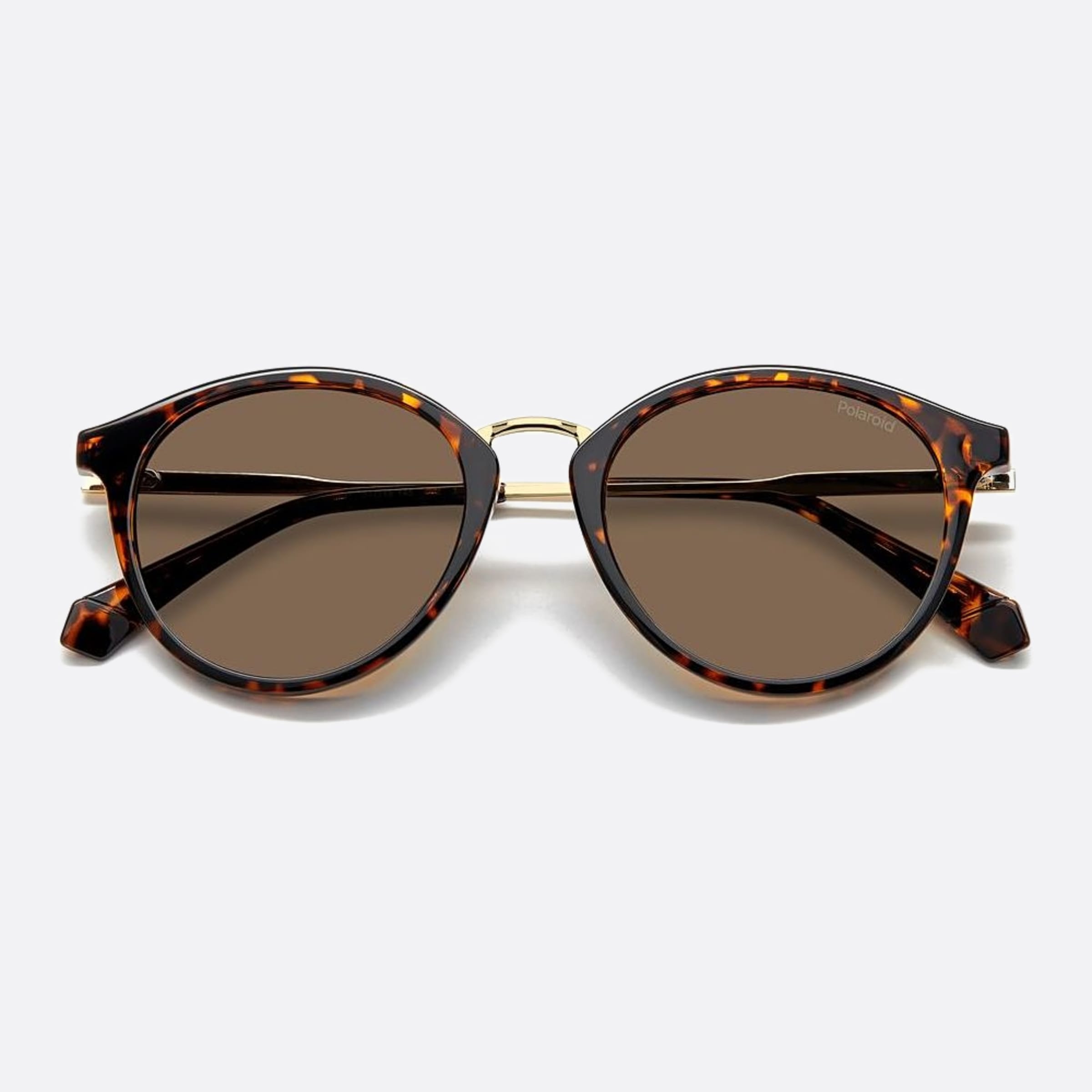 Polaroid 51mm Pld Havana Round Polarized Unisex Sunglasses - Additional Angle