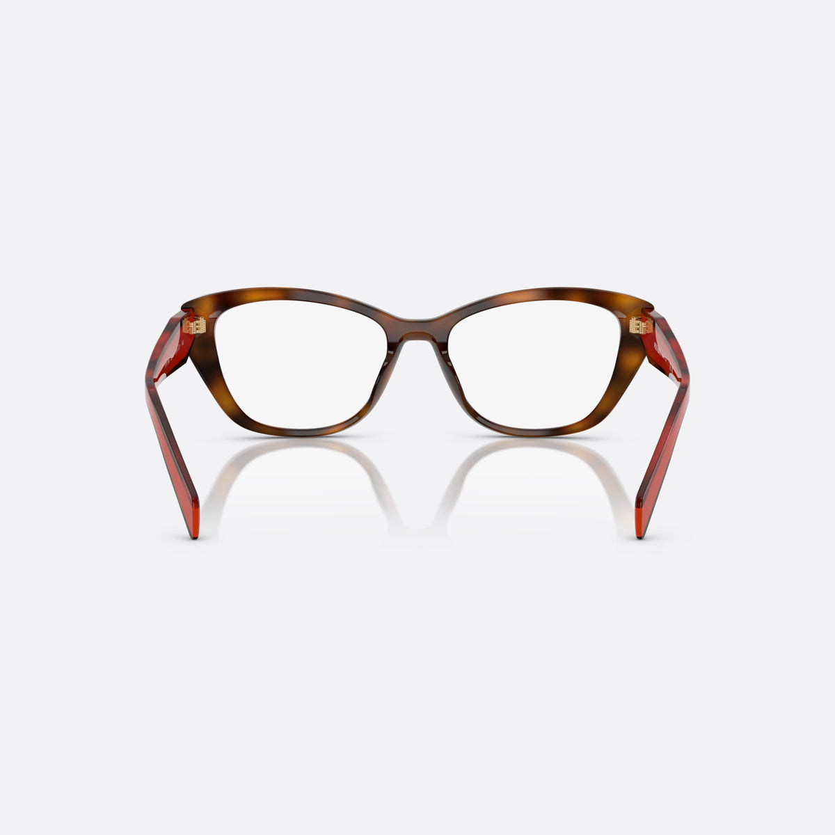 Prada PR 19WV 01K1O1 eyeglasses, havana cat eye frame for women, plain acetate bridge, brand lettering on temples, back view