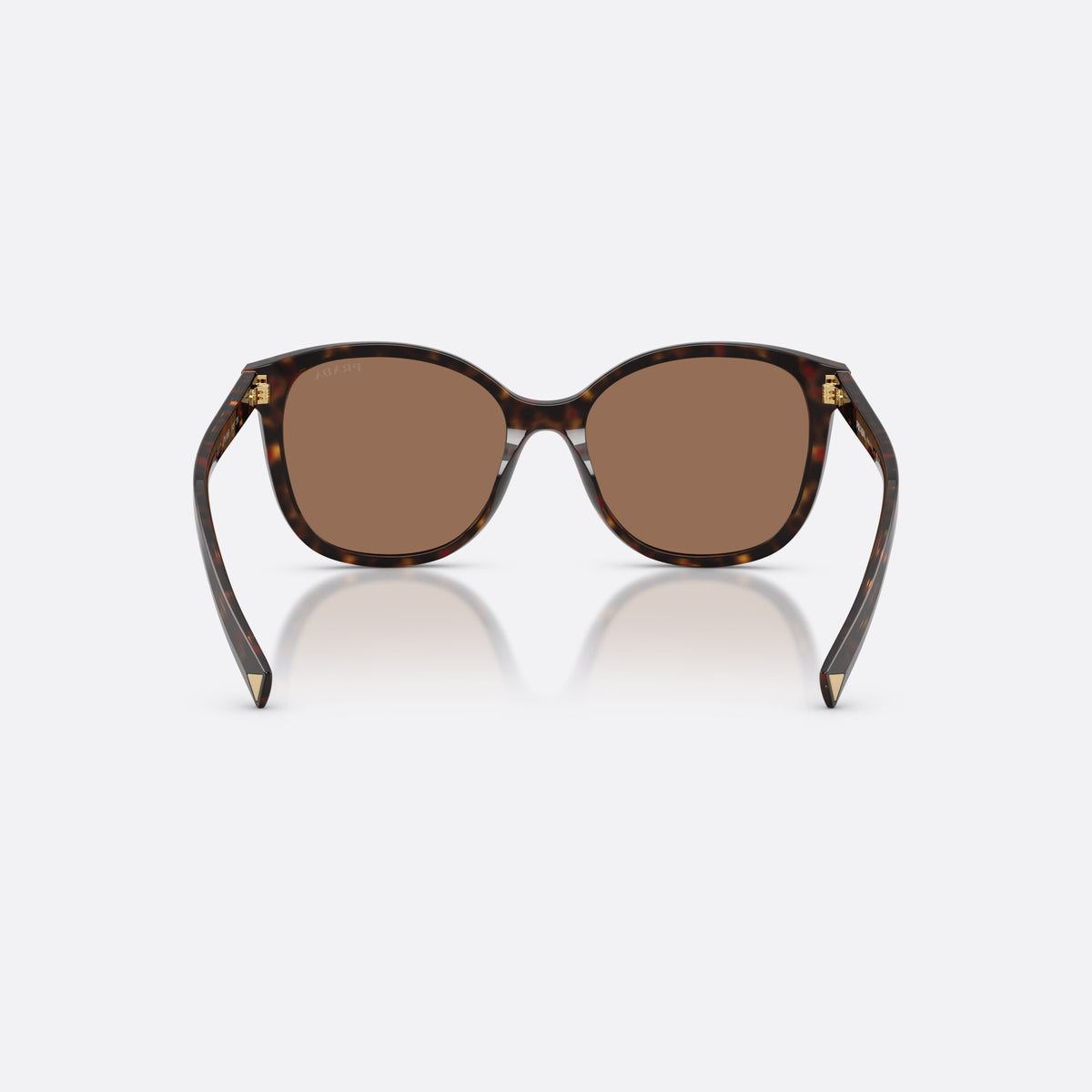 Prada PR 22ZS 17N06B sunglasses, havana square frame for women, plain bridge, integrated into frame, slim tapered temples, back view