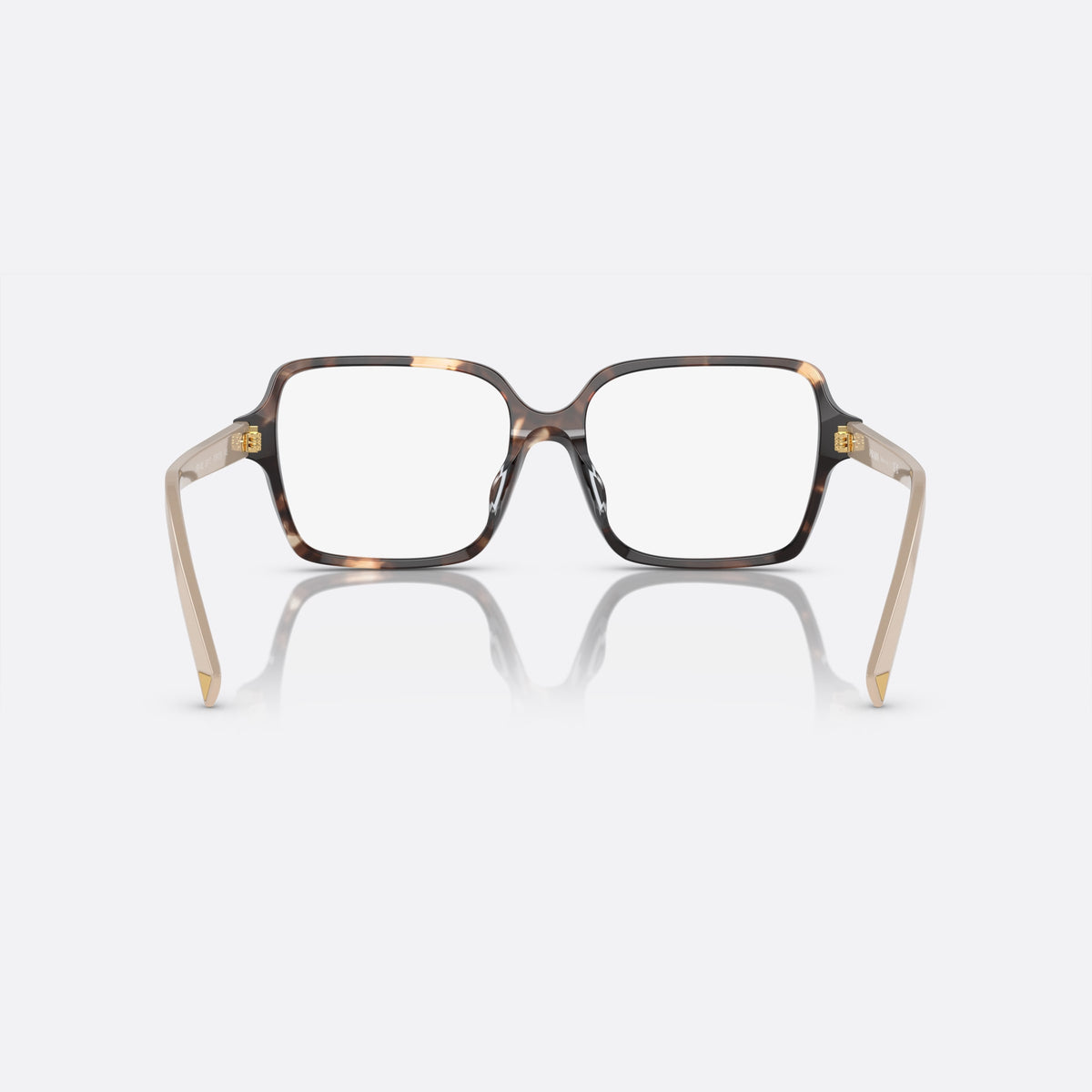 Prada PR A02V 07R-1O1 D eyeglasses, havana geometric frame for women, keyhole bridge, brand lettering on temples, full-rim frame, back view