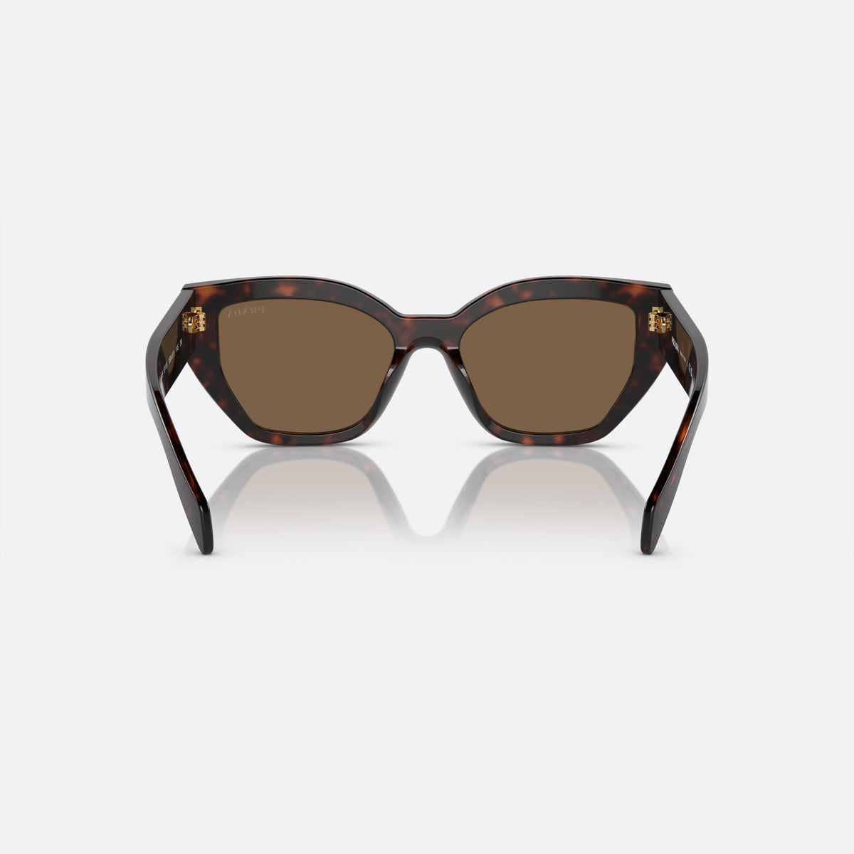Prada PR A09S 16N-5Y1 G sunglasses, brown butterfly frame for women, plain double bridge, brand lettering on the temples, back view