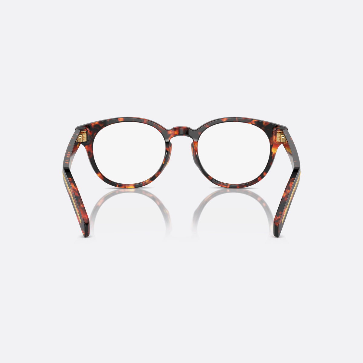 Prada PR A14V 14O1O1 eyeglasses, havana phantos frame for men, brand lettering on temples, full-rim acetate front, back view