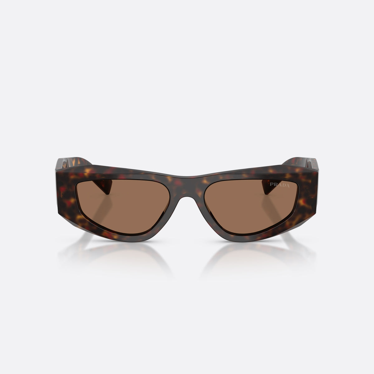 Prada PR B19S 17N06B sunglasses, havana pillow frame for men, keyhole bridge, brand lettering on the temples, front view