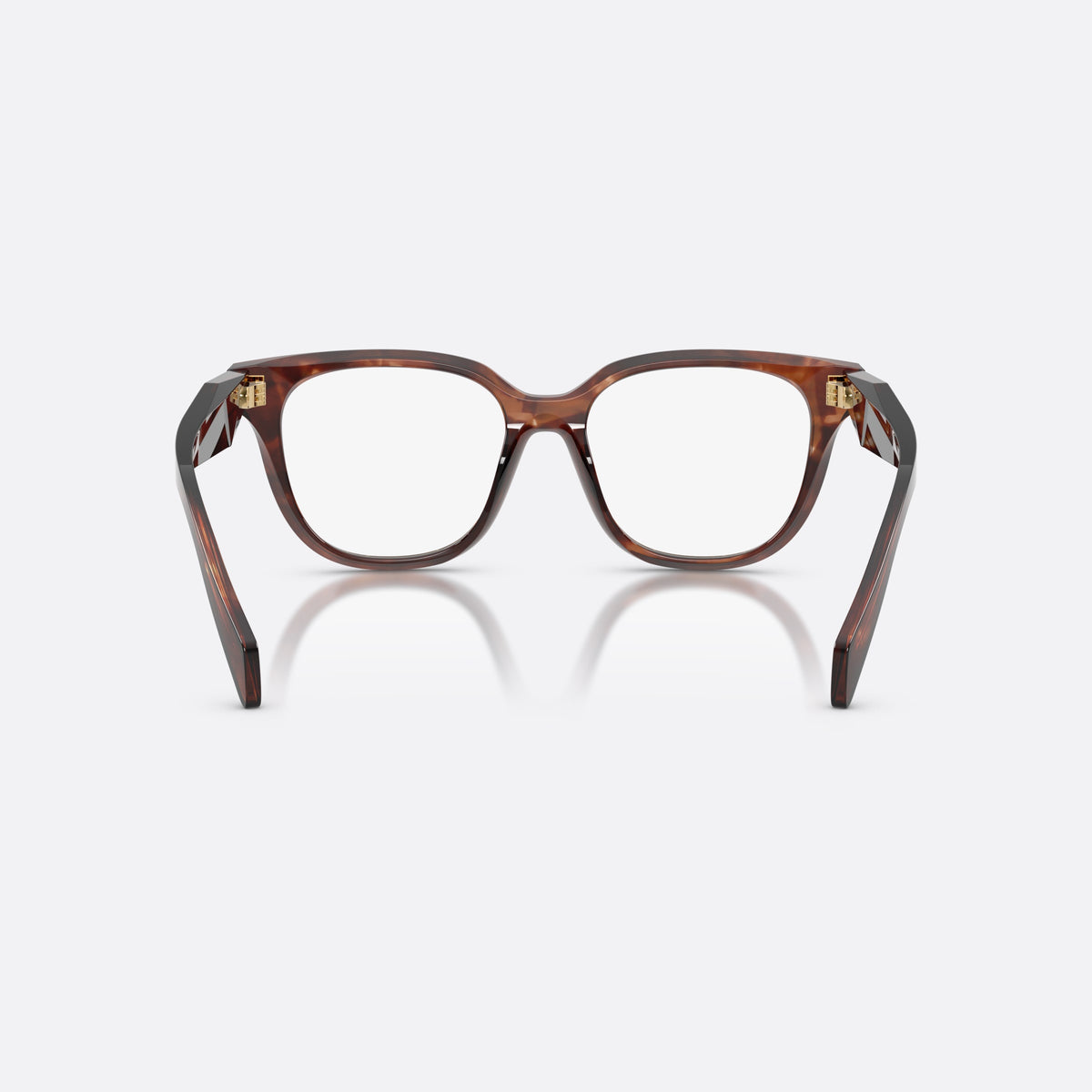 Prada PR C11V 14P1O1 eyeglasses, havana butterfly frame for women, plain saddle bridge, brand lettering on temples, back view