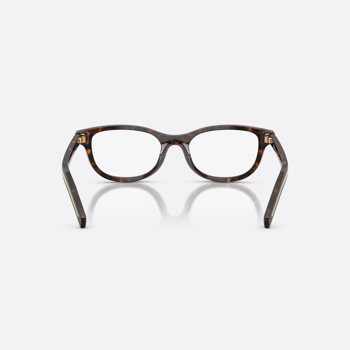 Prada PR D01VU 17N1O1 eyeglasses, havana oval frame for women, plain combined bridge, brand lettering on temples, back view